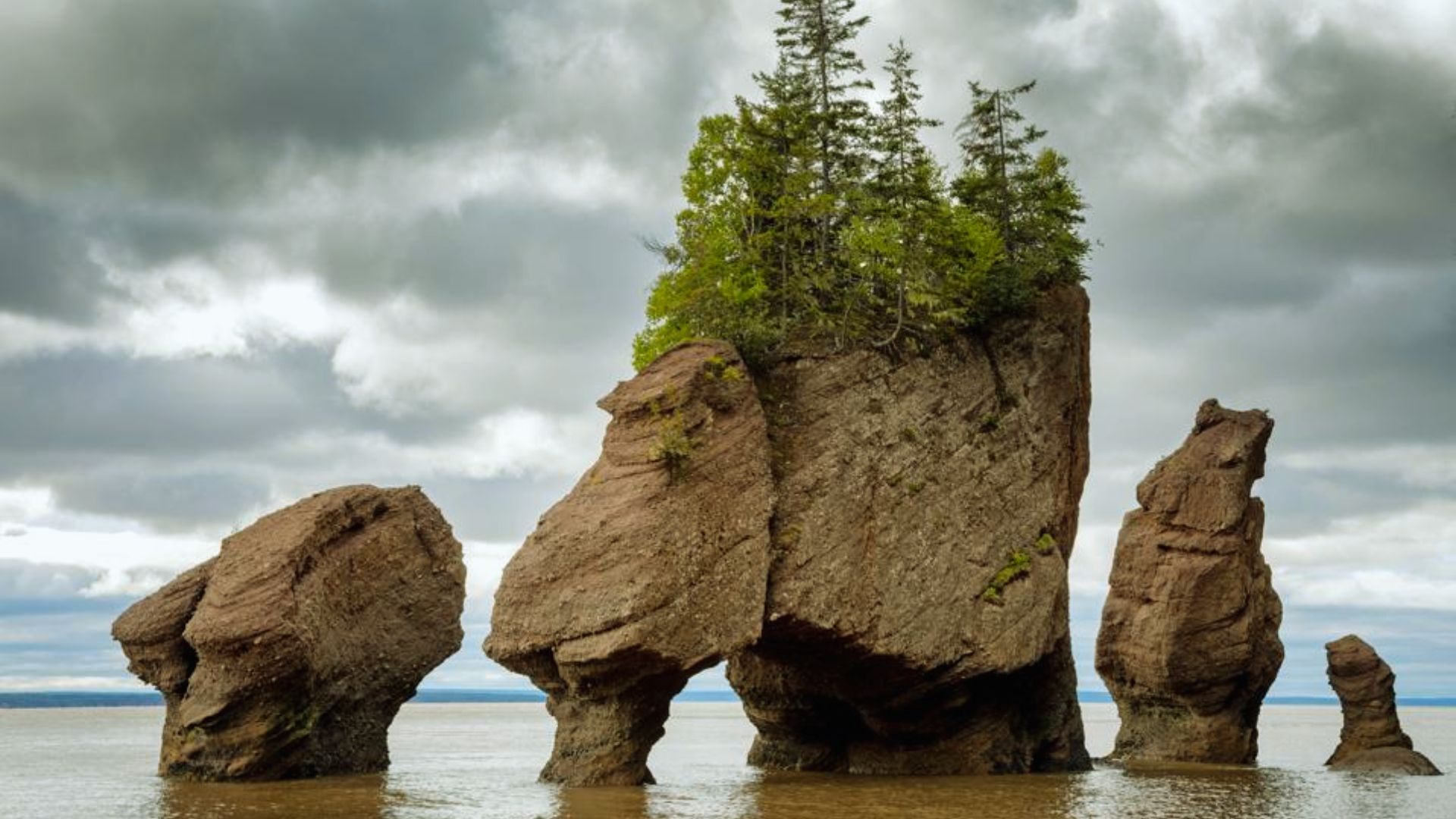 Walk the Ocean Floor at Hopewell Rocks