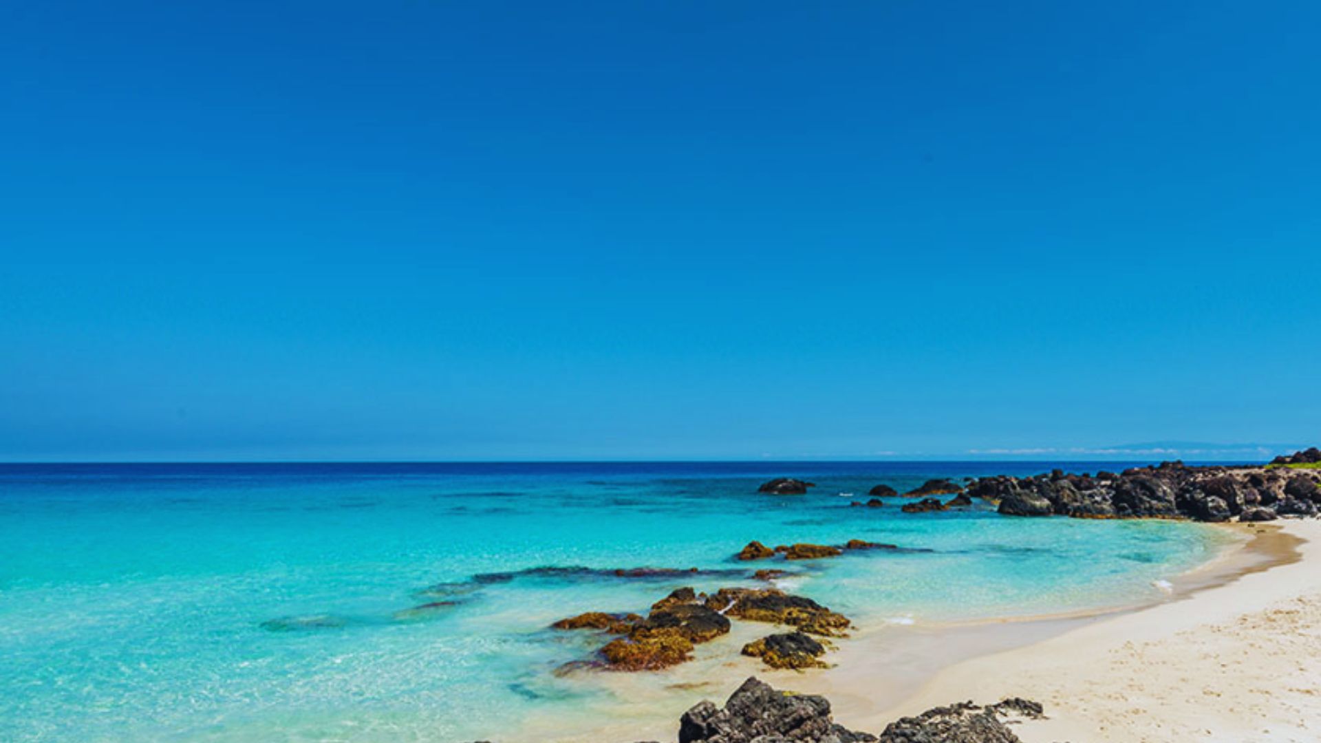 A stunning view of a beach on the tropical island of Maui, Hawaii, featuring golden sand and clear blue waters.