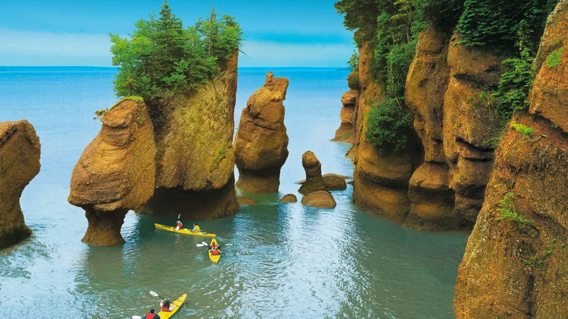 Visit Scenic Coastal Viewpoints