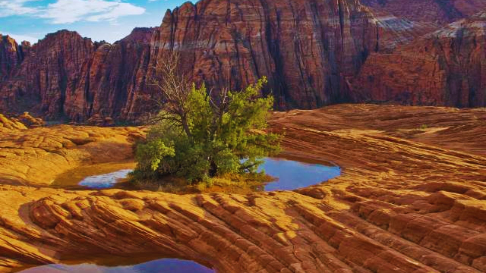 Zion National Park, Utah