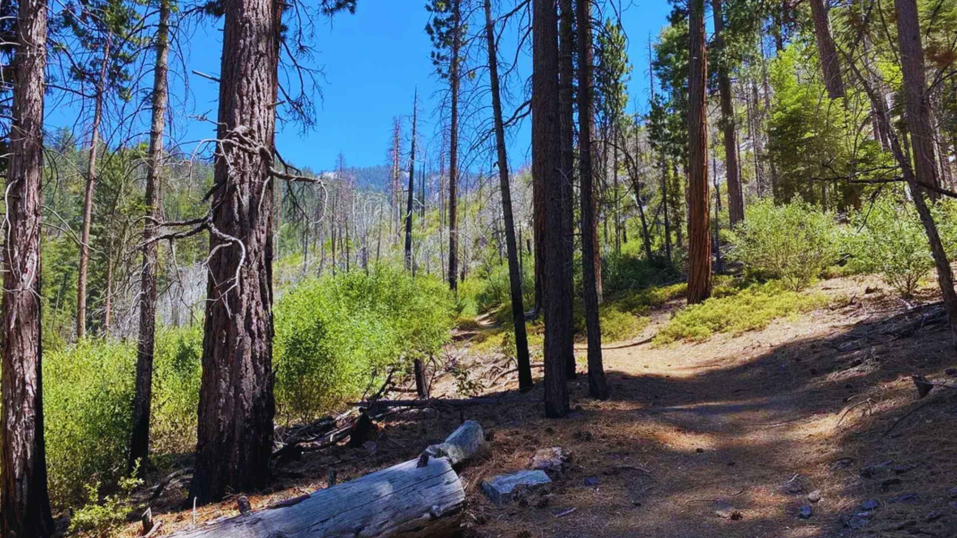 Sheep Creek Cascade Trail