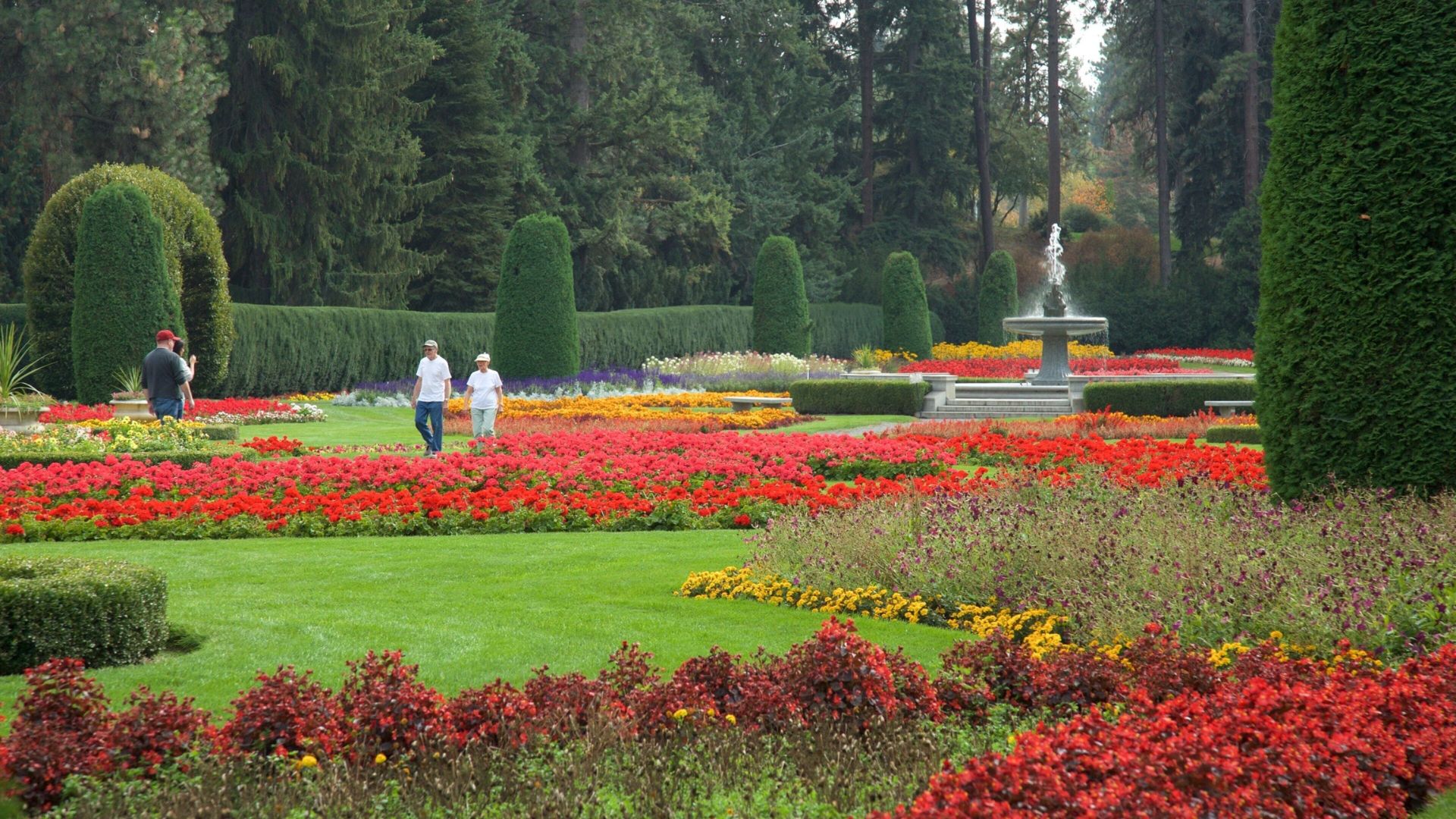 A vibrant garden filled with a variety of colorful flowers and lush green trees under a clear blue sky.