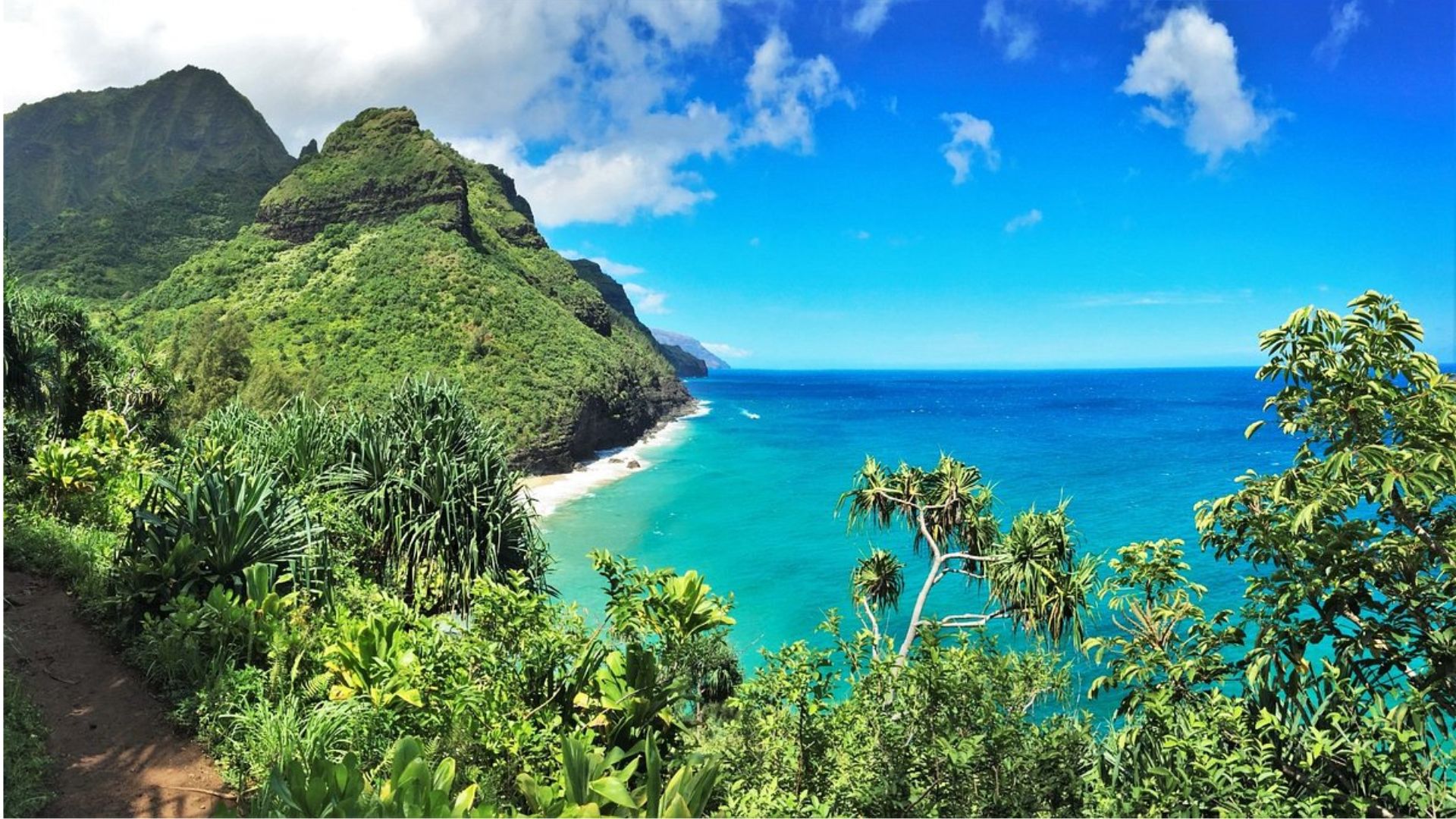 Lush green cliffs overlook a vibrant turquoise ocean under a clear blue sky, conveying a sense of serenity and natural beauty in a tropical landscape.