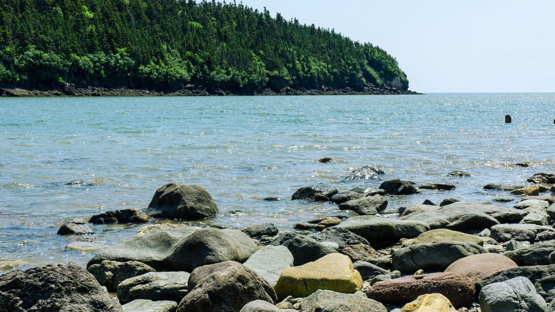 Relax at Point Wolfe Beach