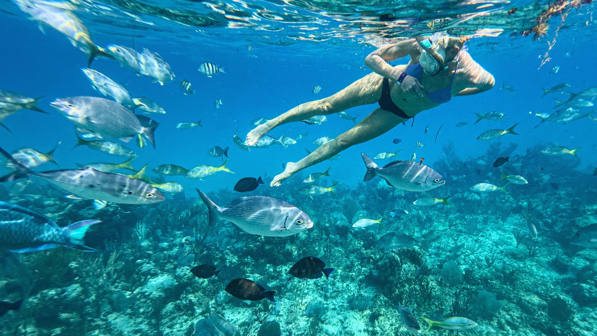 A woman swims in the ocean surrounded by colorful fish, enjoying the vibrant underwater life.