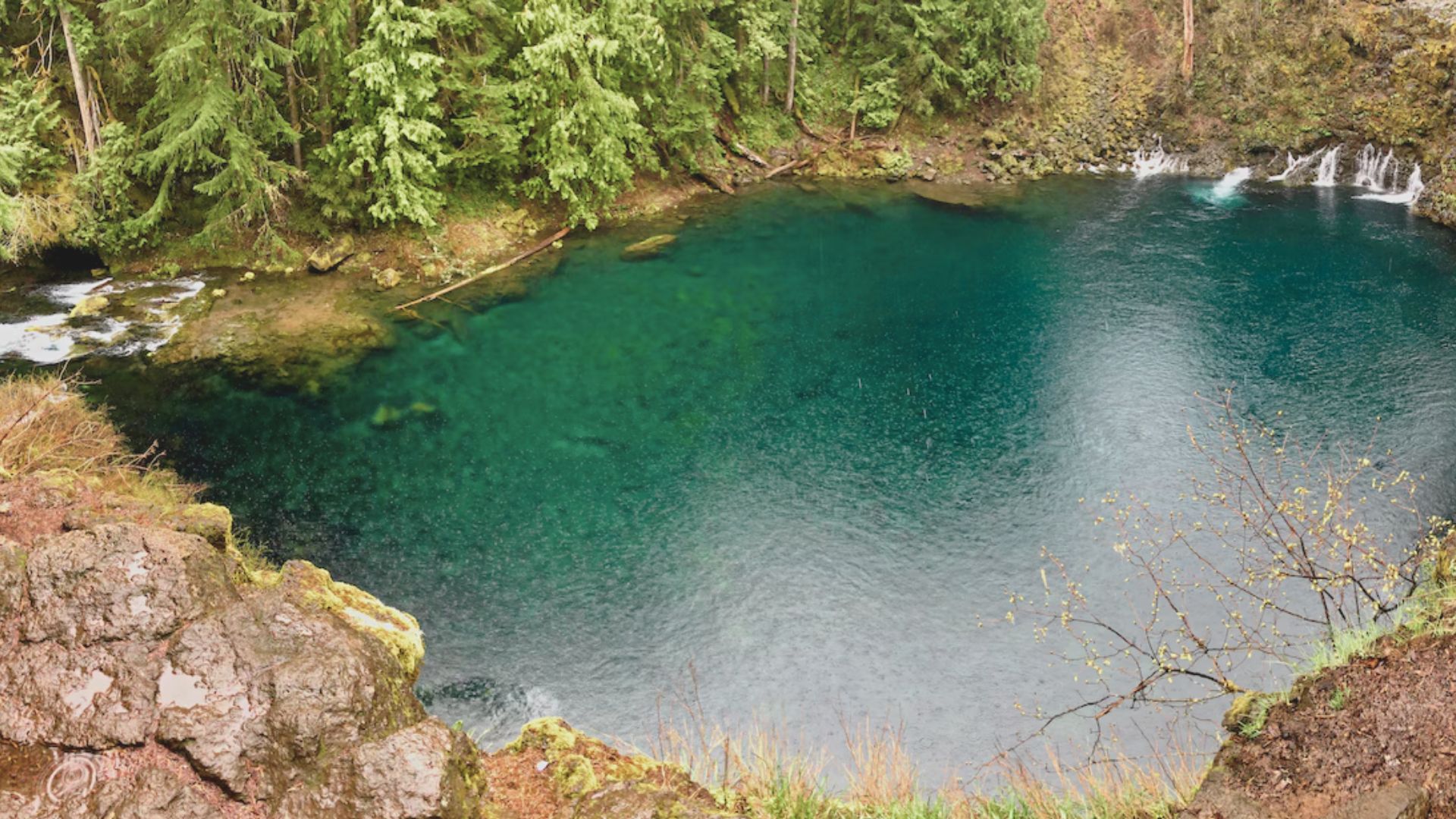 McKenzie River Trail