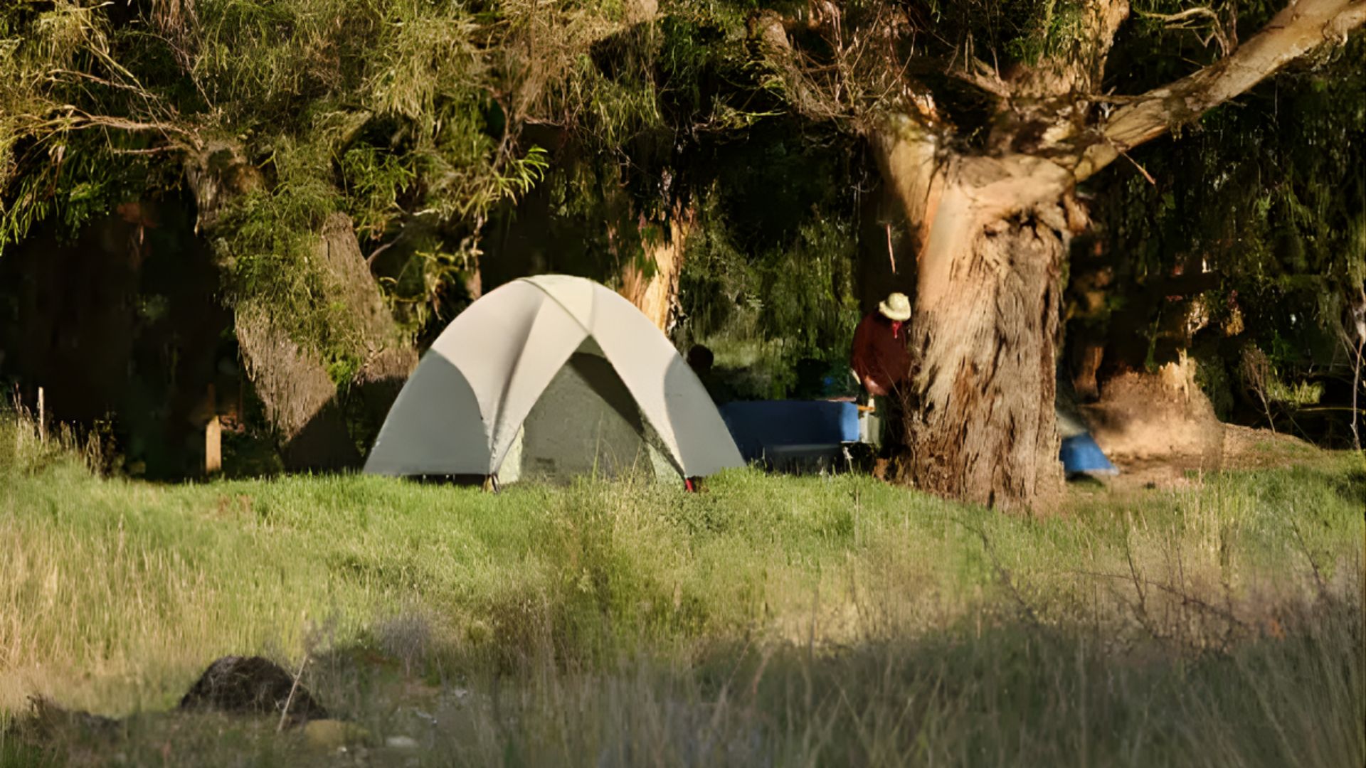 A tent is pitched on grassy ground surrounded by trees, creating a serene outdoor camping scene.