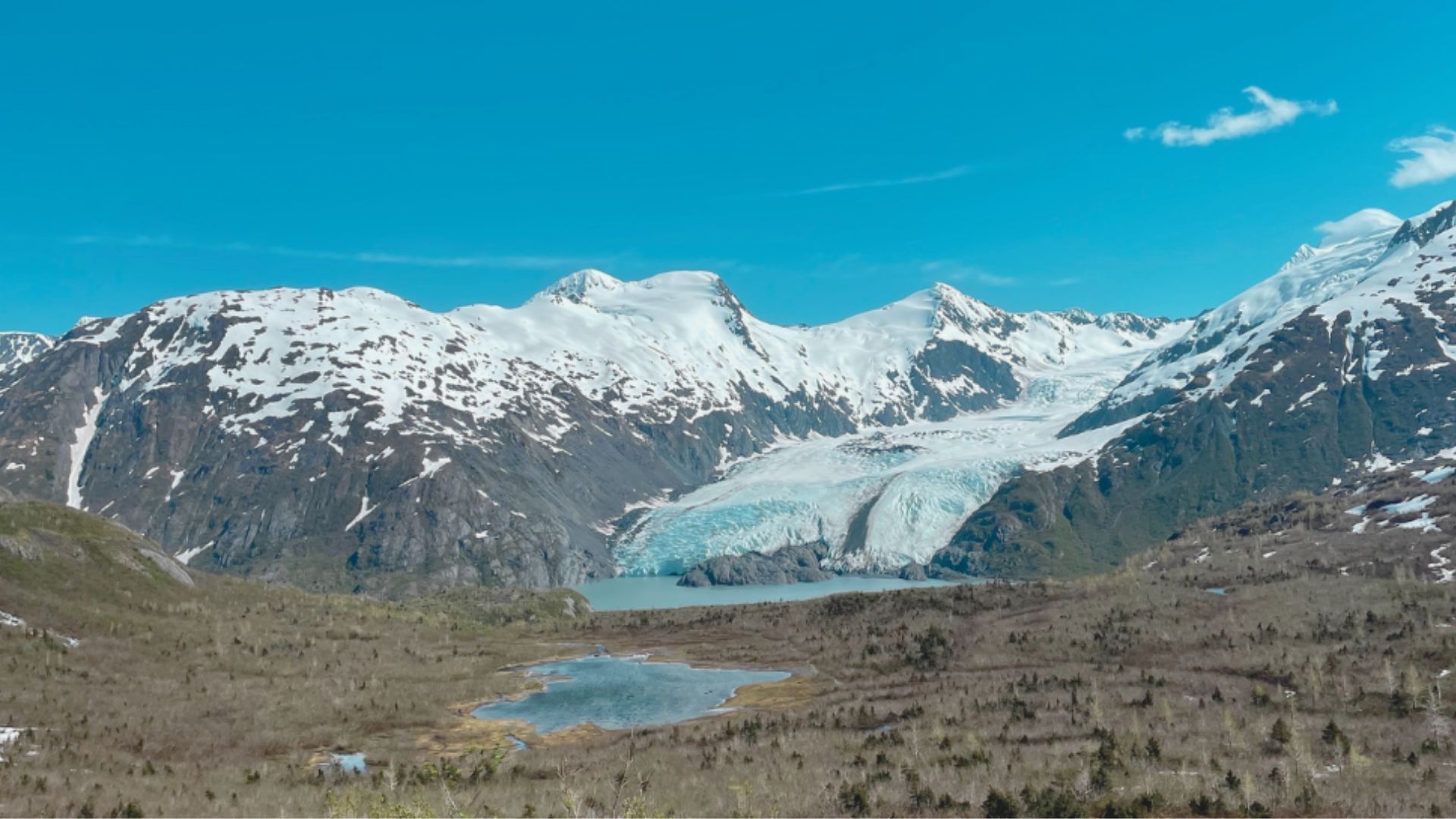 Snow-capped mountains with a glacier flowing into a turquoise lake under a clear blue sky. A small pond and sparse vegetation are in the foreground.