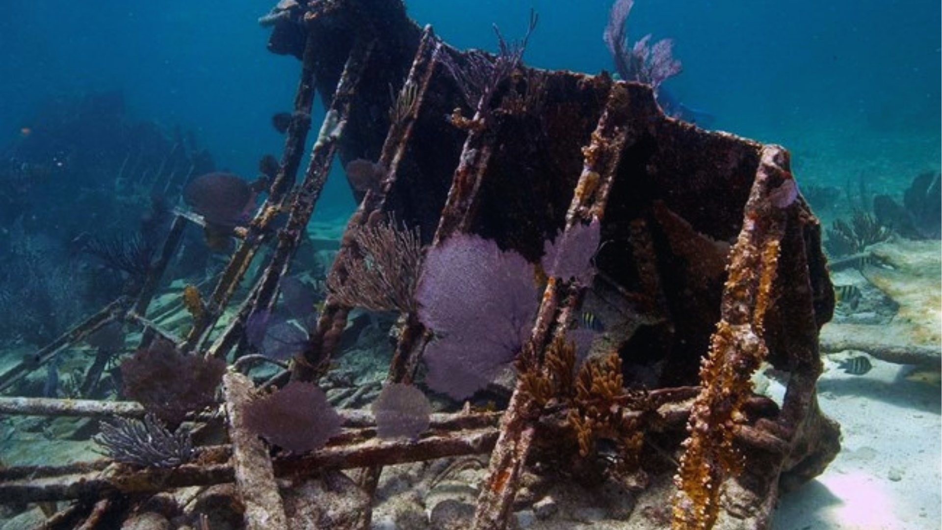 Underwater scene of a shipwreck encrusted with coral and marine life. Sunlight filters through clear blue water, creating a serene, mysterious ambiance.