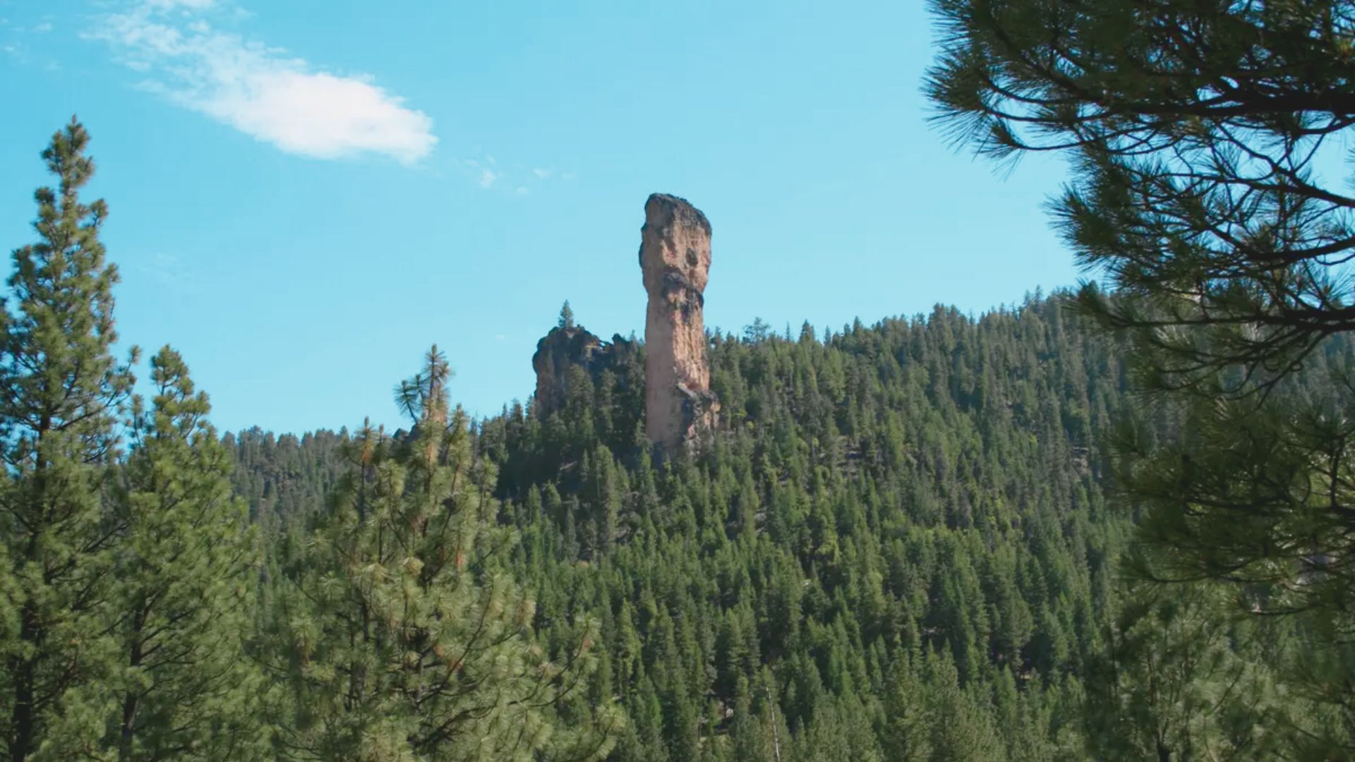 Ochoco National Forest