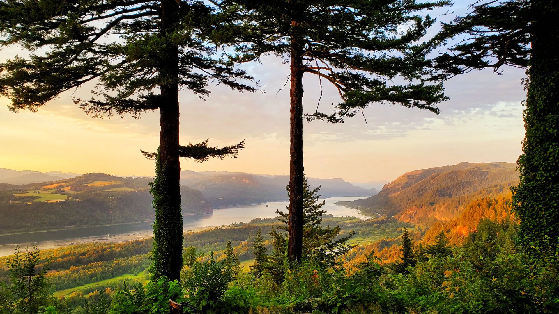 Scenic view of the Columbia River Gorge in Oregon, showcasing lush greenery and dramatic cliffs under a clear blue sky.