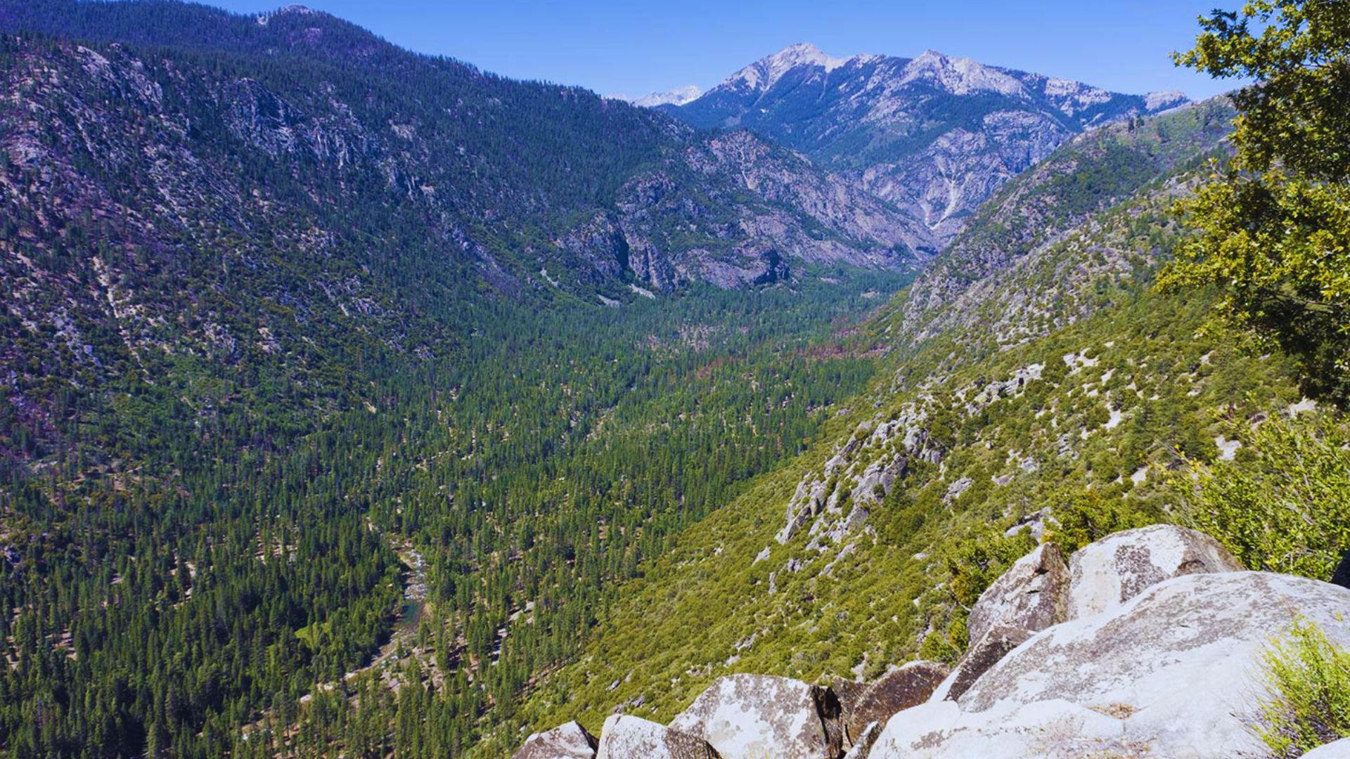 Hotel Creek Trail