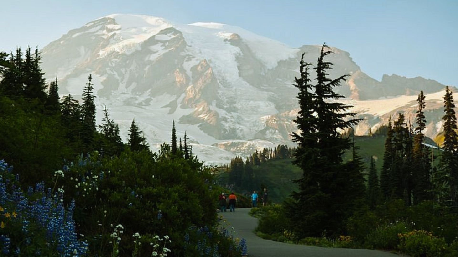 Mountainside with evergreen trees and vibrant wildflowers in the foreground, framing a serene path. Snow-capped peak looms majestically in the background.