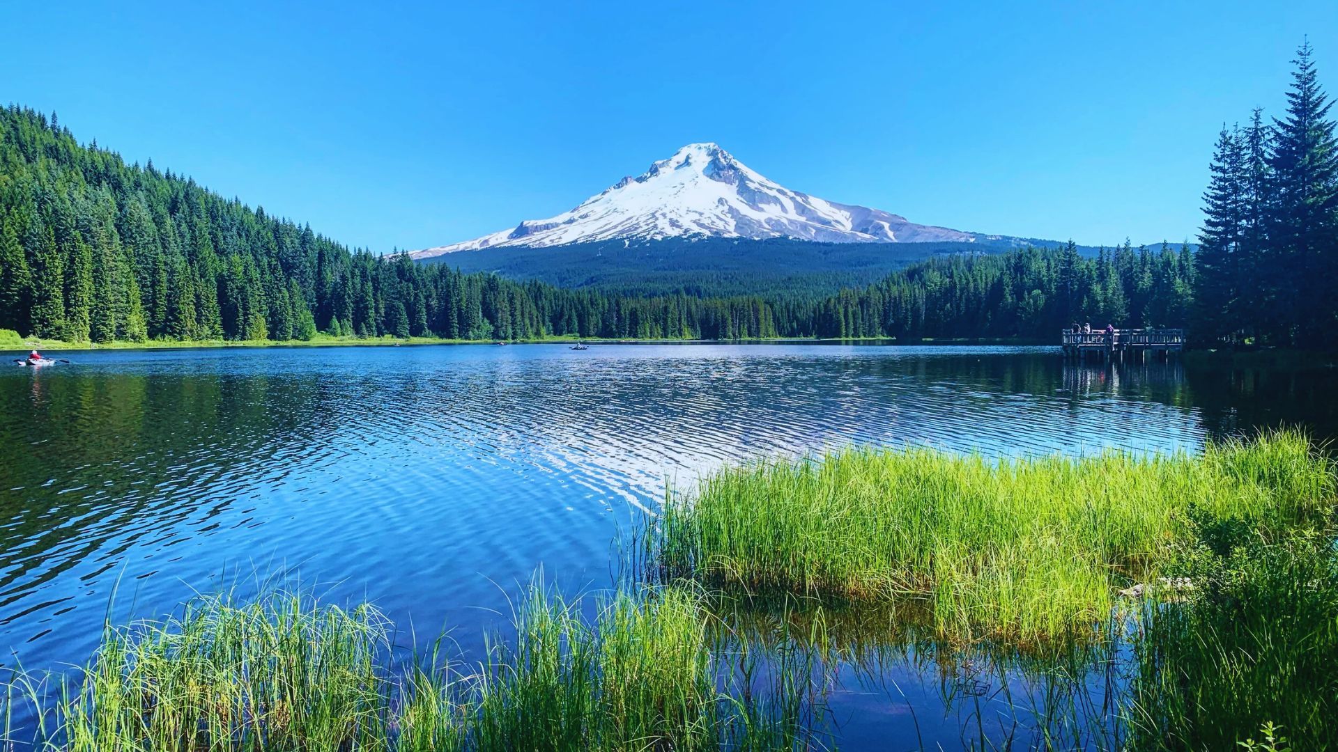 Mount Hood rises majestically in the distance, surrounded by a clear blue sky and lush green landscape.