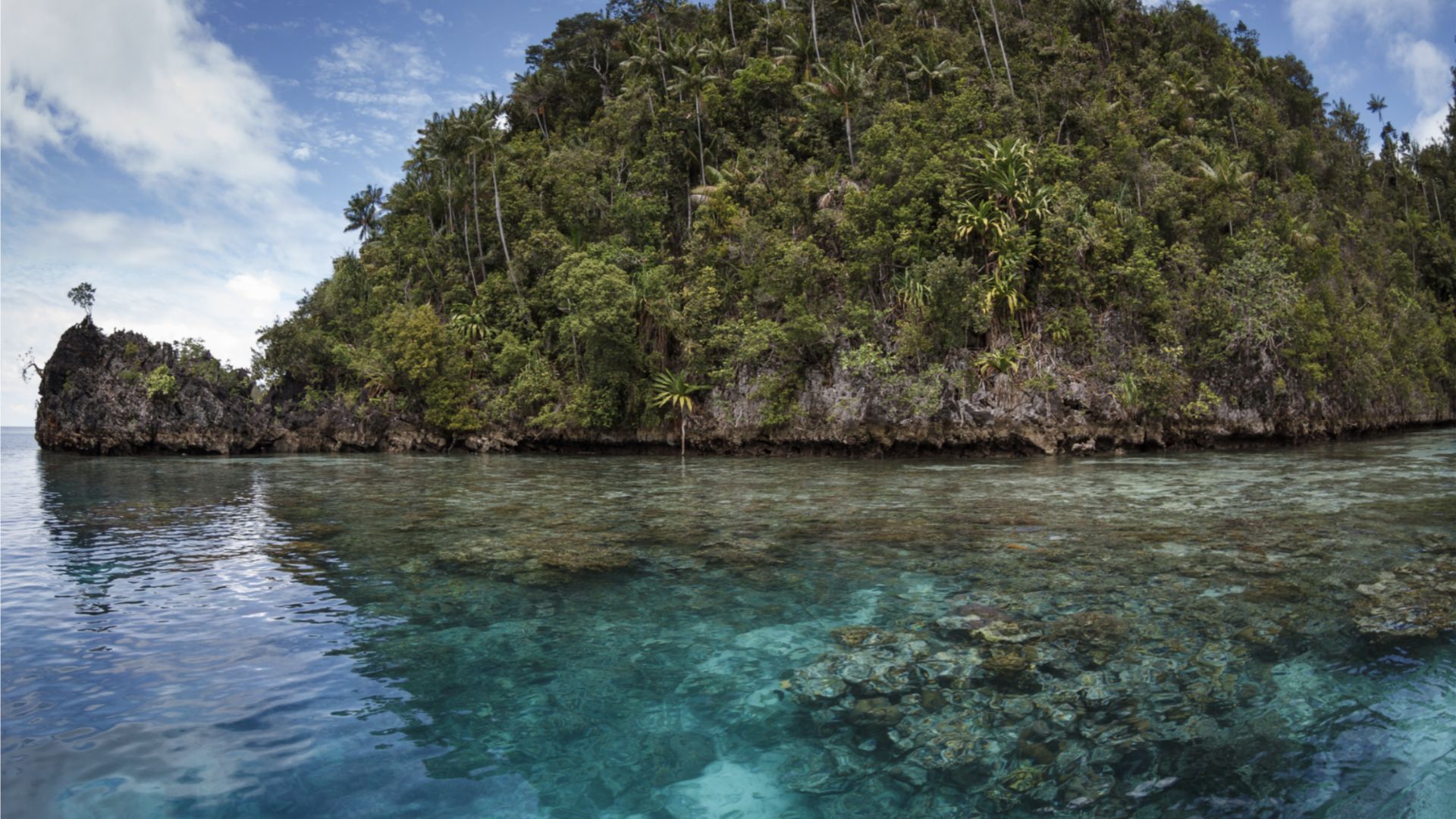 A lush, green island with dense foliage rises from clear, turquoise waters, displaying vibrant coral reefs. The sky is partly cloudy and serene.