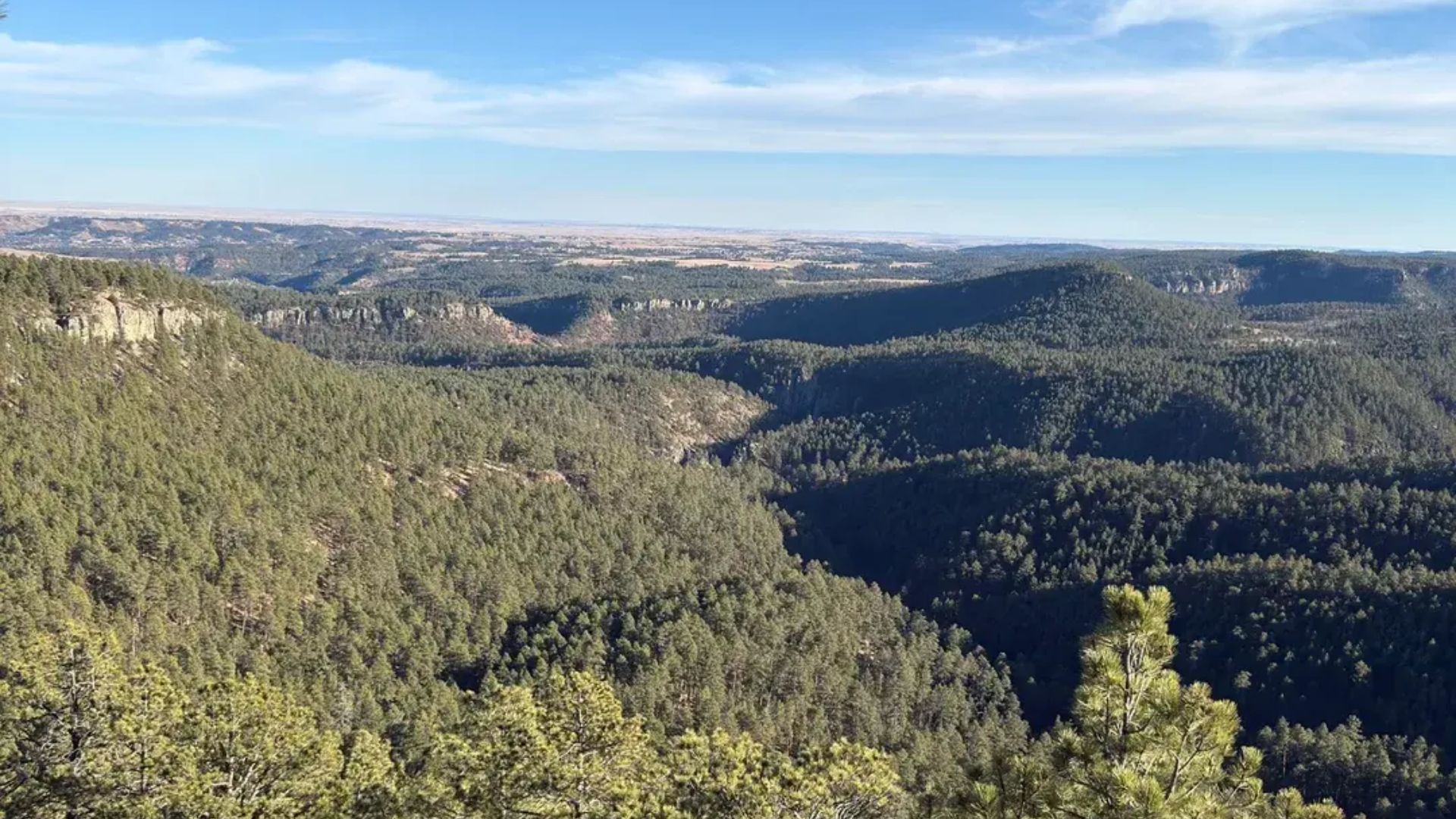 Expansive view of lush, rolling forests under a clear blue sky. Sunlit greenery blankets the hilly terrain, evoking a tranquil and vast wilderness.