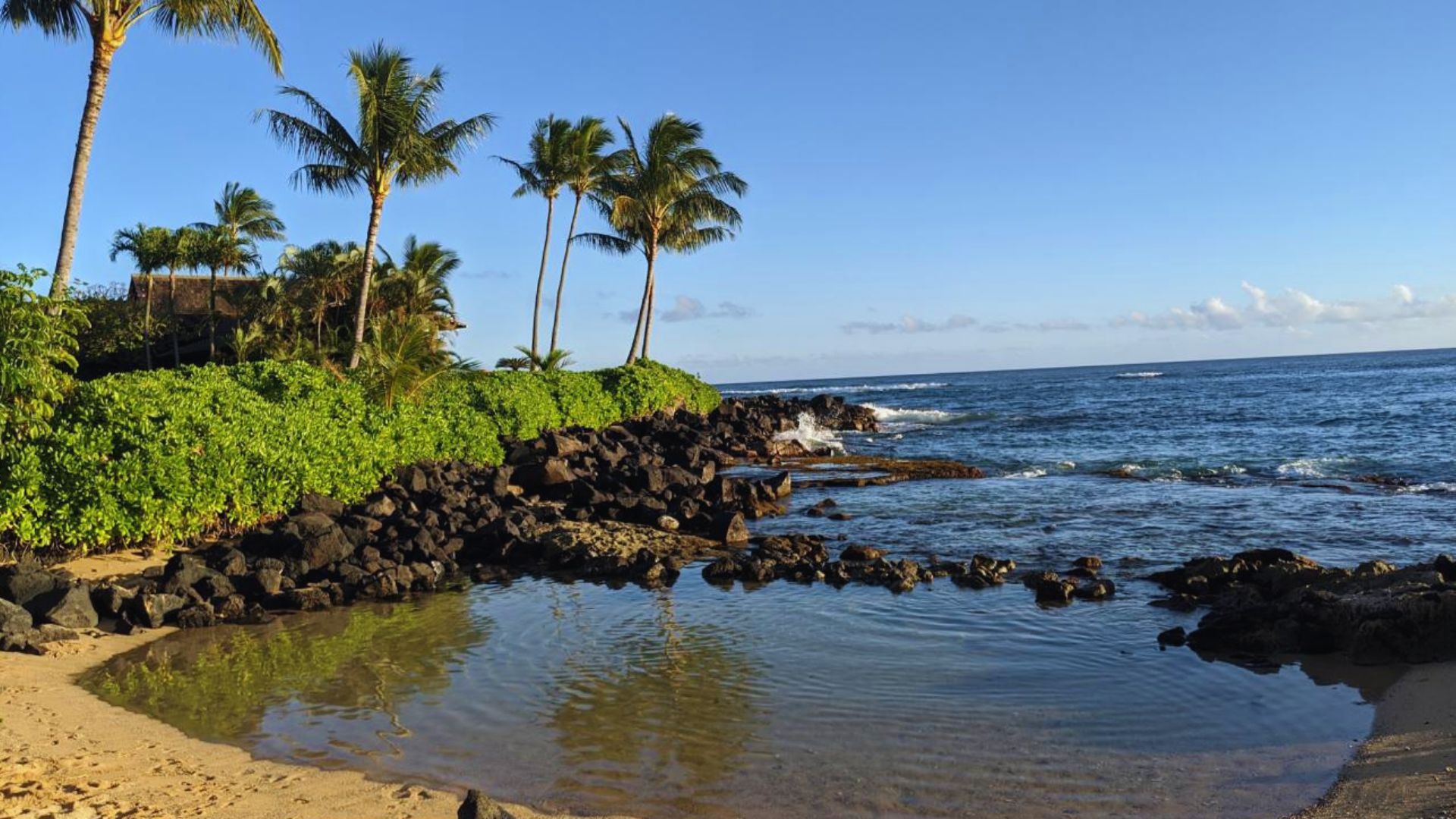 A scenic beach featuring palm trees and rocky formations along the edge of the ocean.