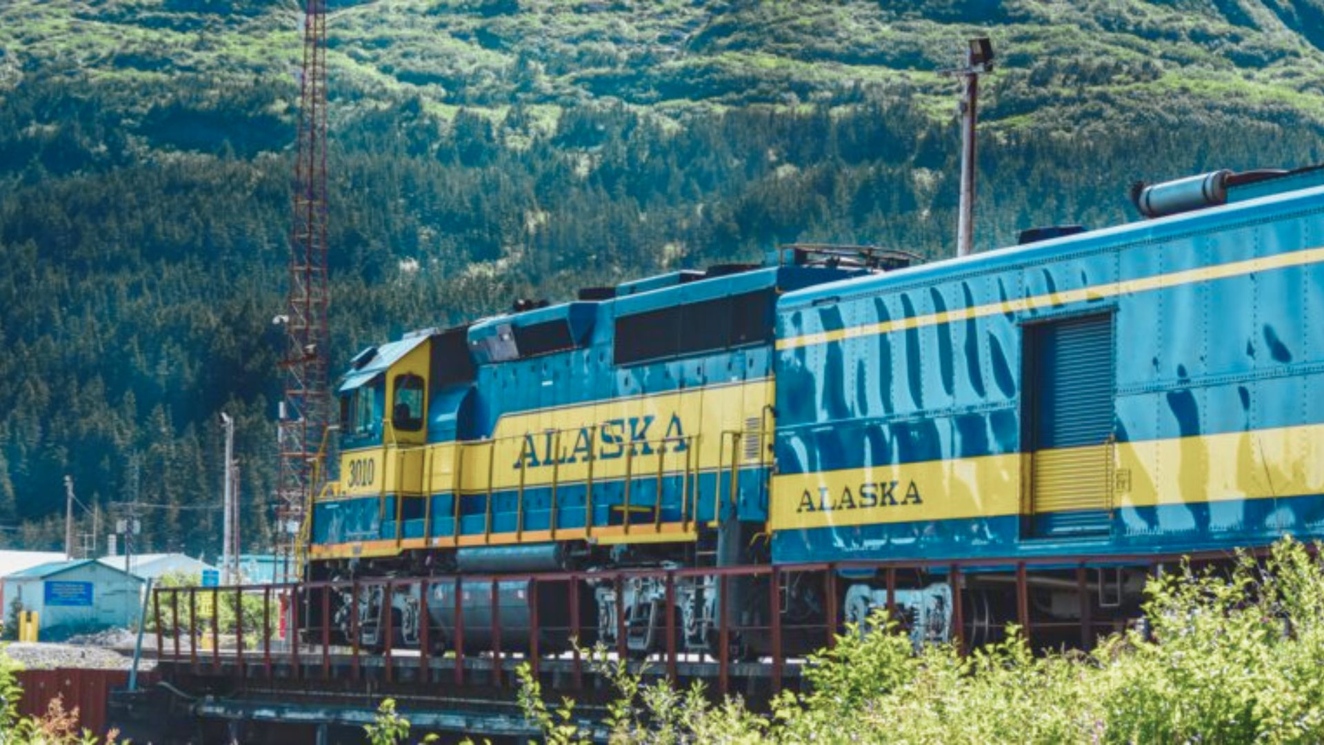 A vibrant blue and yellow Alaska train travels through a lush green valley with forested mountains in the background, evoking a sense of adventure.