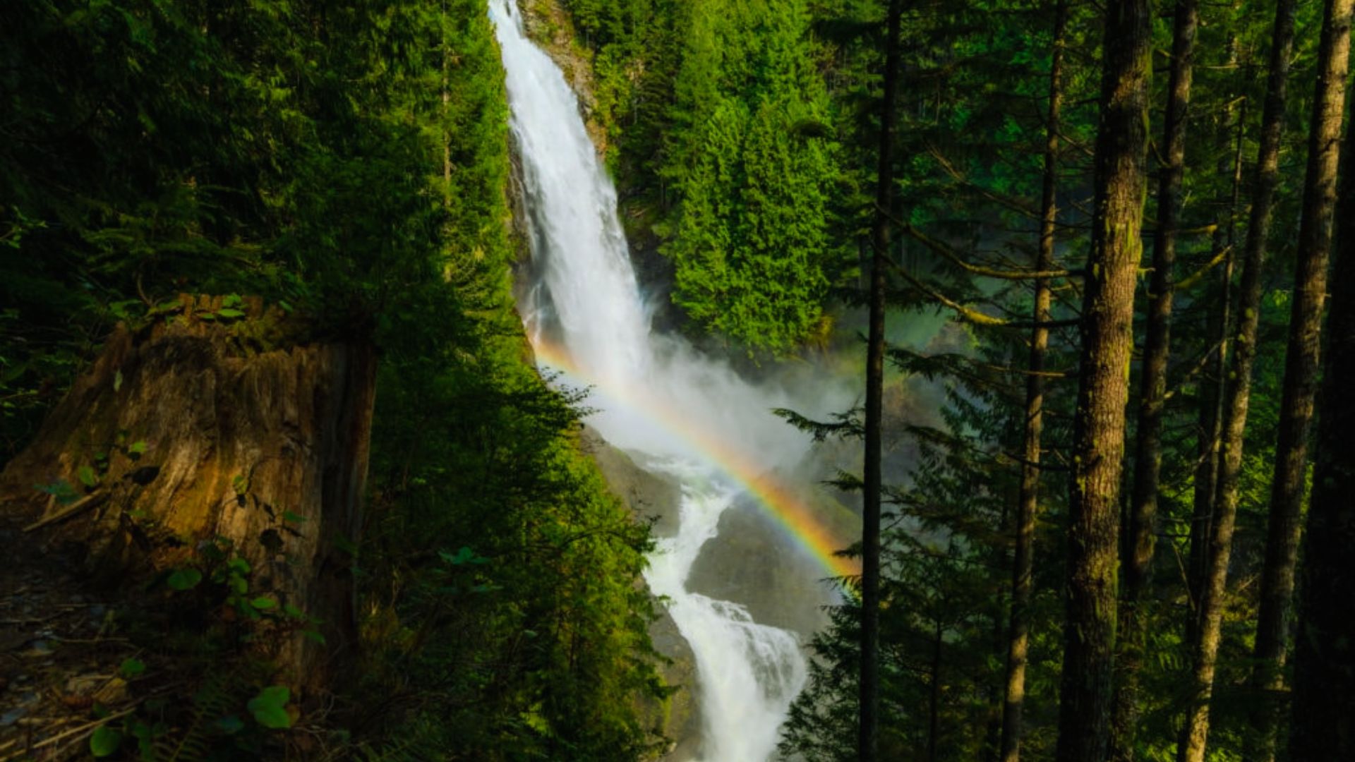 A majestic waterfall cascades through dense green forest, creating mist that forms a vibrant rainbow. The scene is serene and lush with natural beauty.