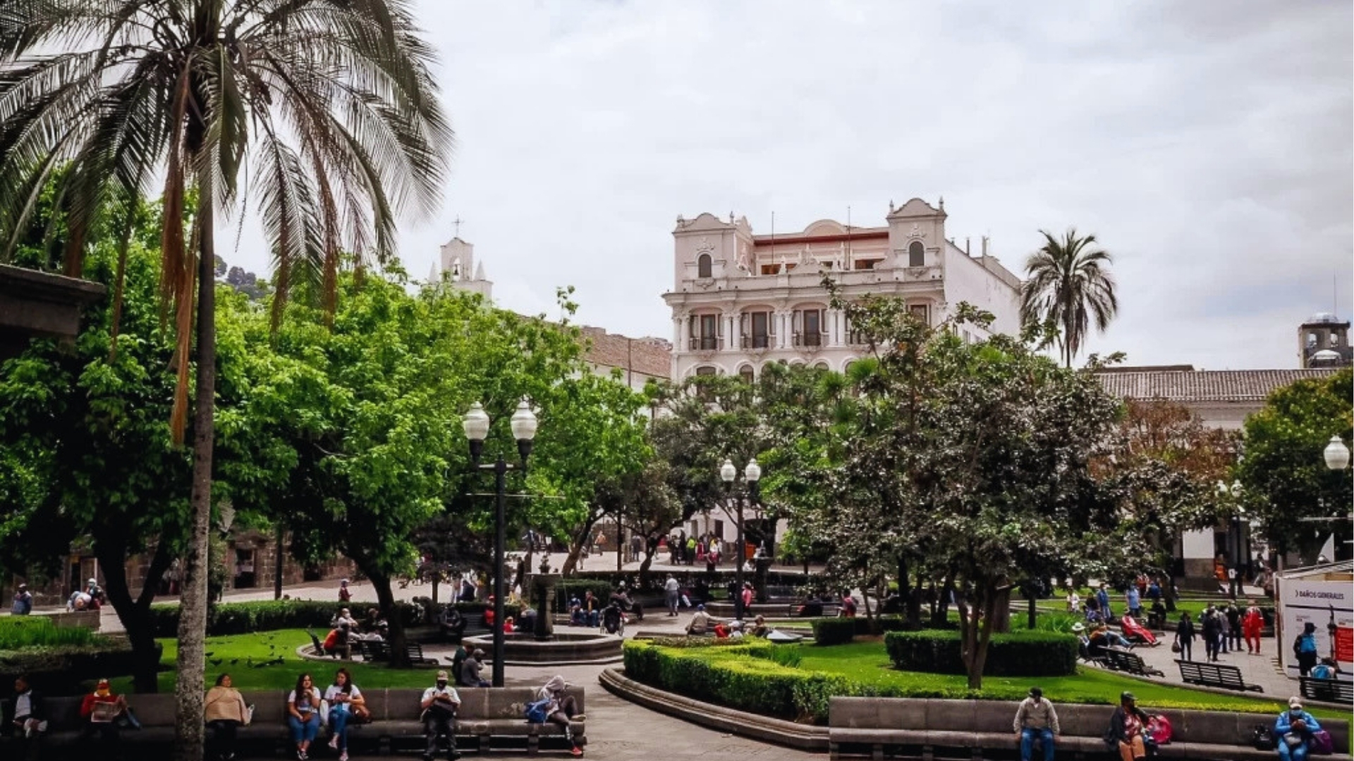 A city park featuring people sitting on benches surrounded by lush green trees.