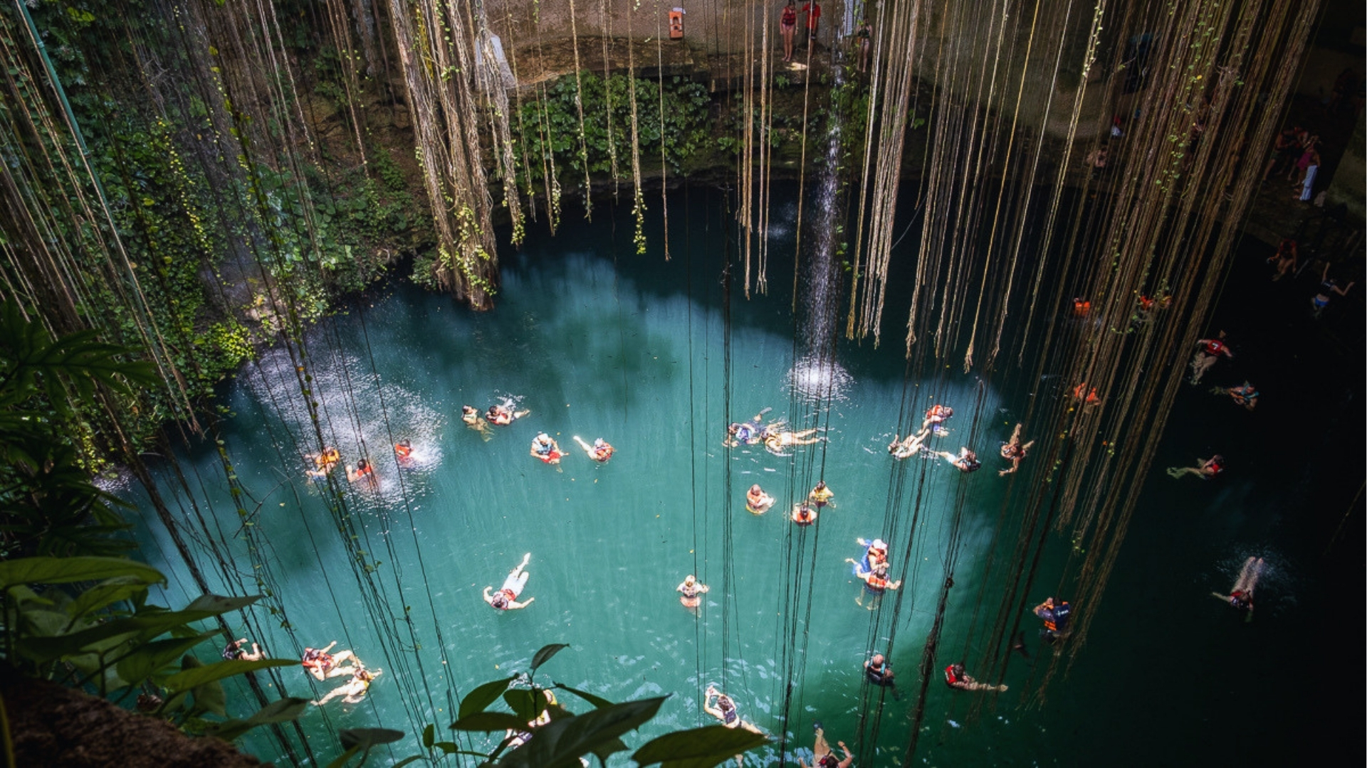 People swimming in a blue pool, surrounded by lush green trees under a clear sky.