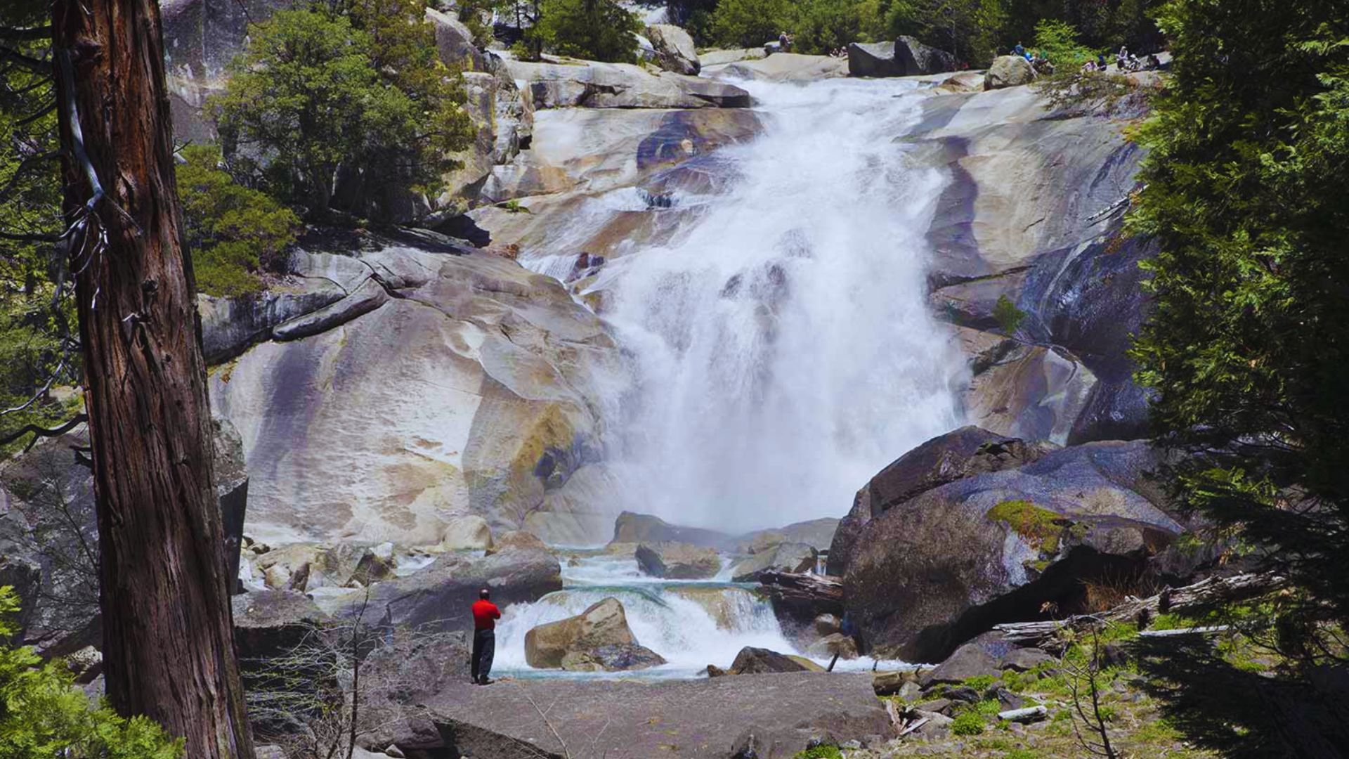 Mist Falls Trail