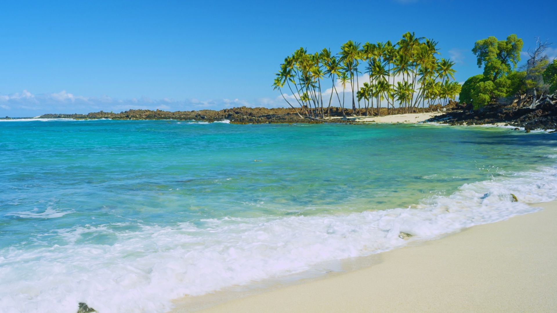 A serene beach scene featuring palm trees swaying over soft white sand under a clear blue sky.
