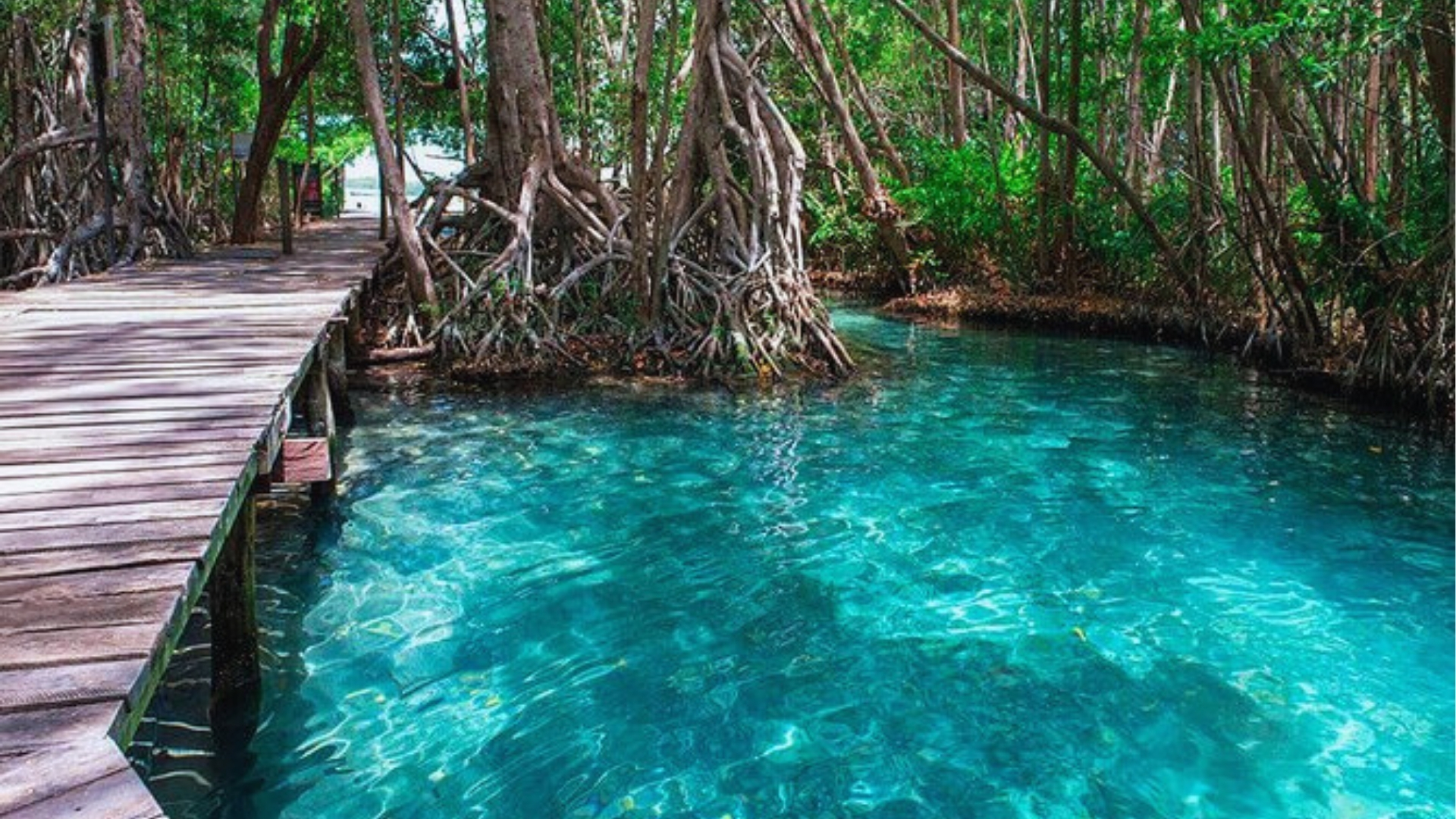 A wooden bridge extends over a clear blue river, surrounded by lush greenery and a bright sky.