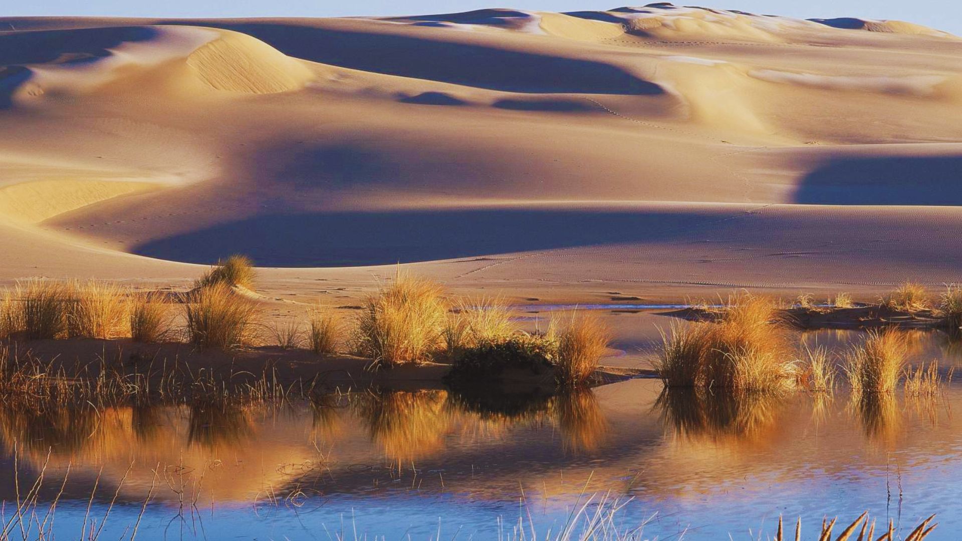 Oregon Dunes National Recreation Area