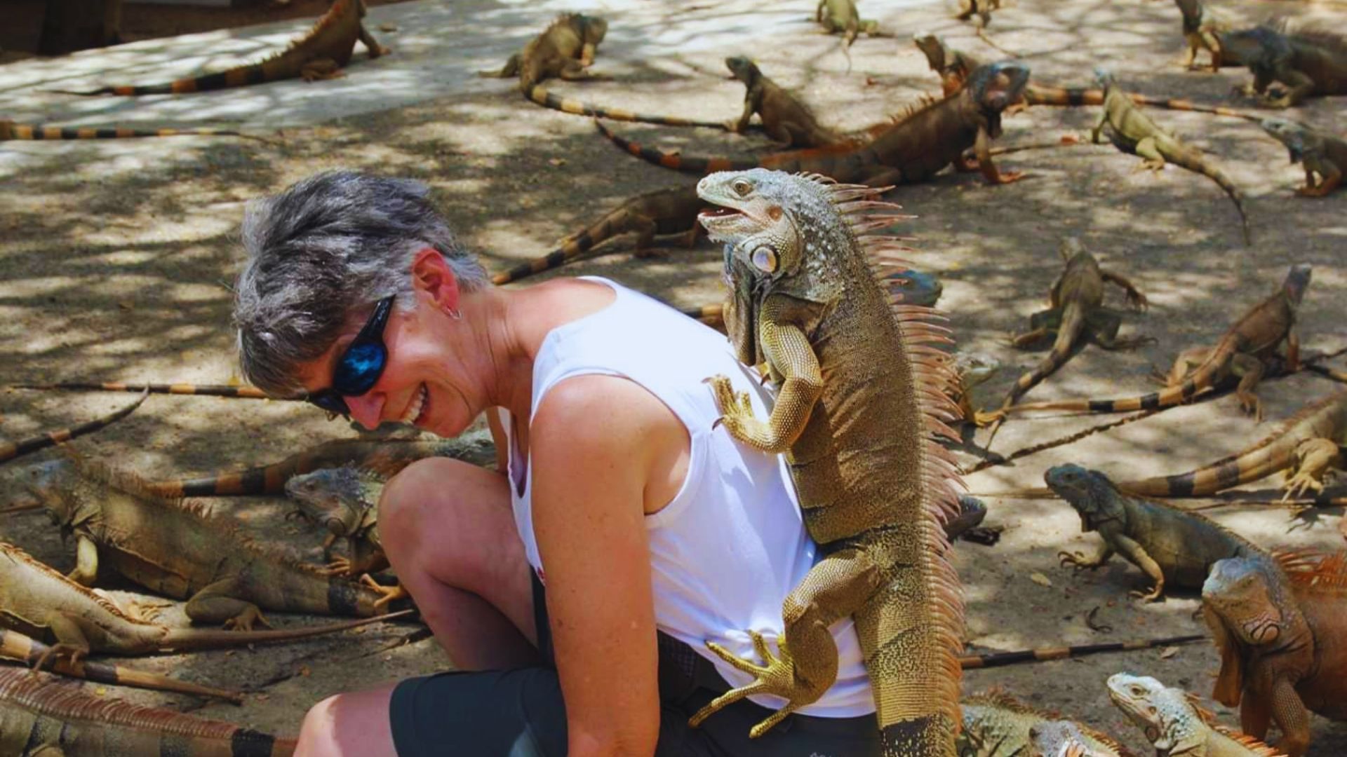 A person in a white tank top and sunglasses smiles as an iguana sits on their back. Numerous iguanas surround them on a dirt surface, creating a lively scene.