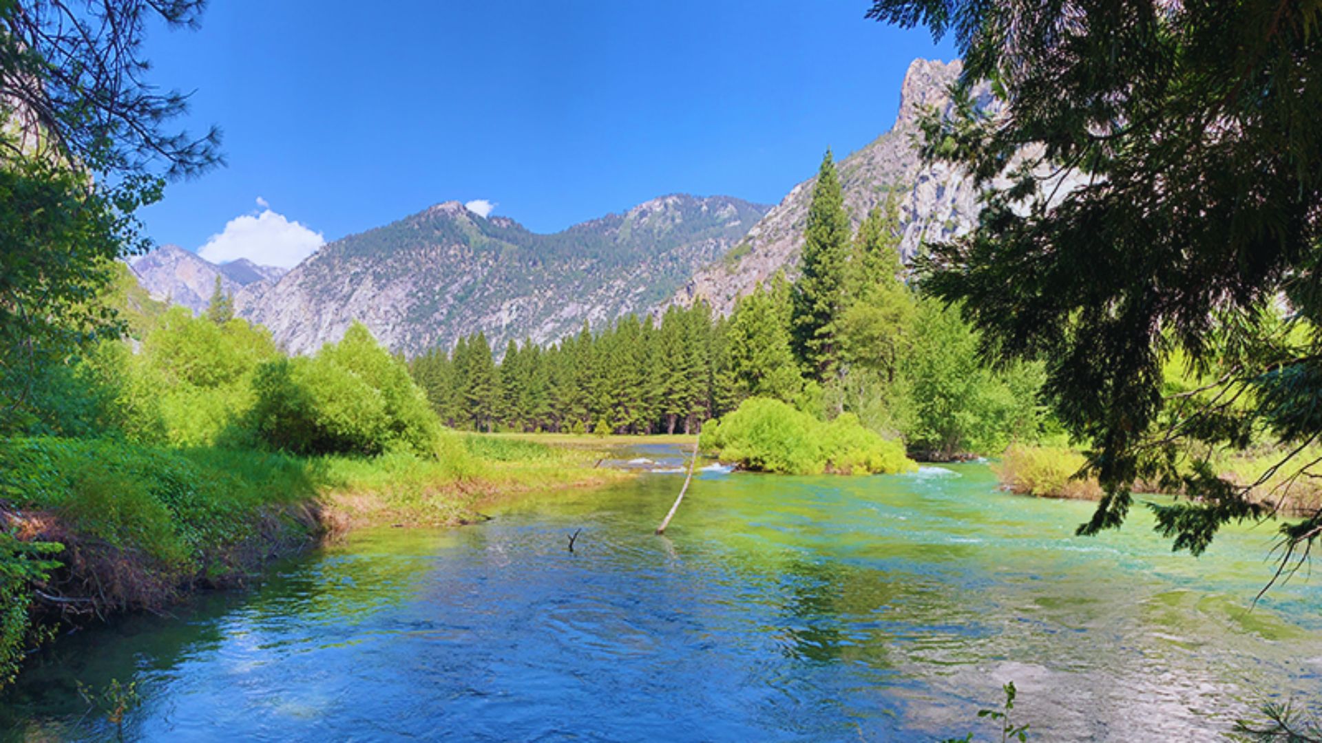 Zumwalt Meadow Loop