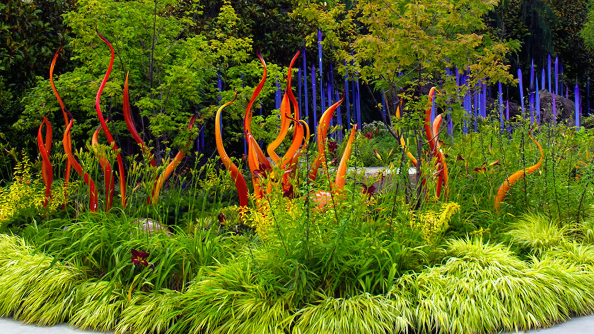 Visit Art at Chihuly Garden and Glass