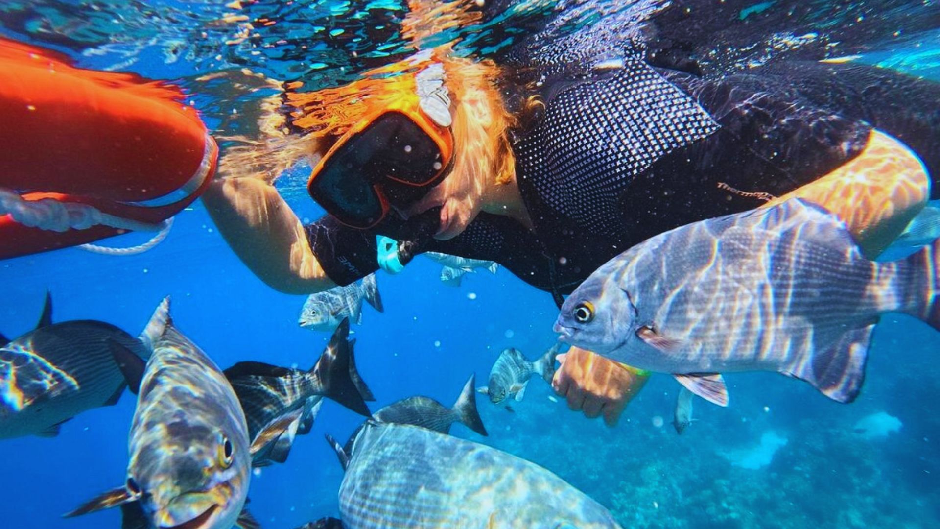 A snorkeler in an orange mask observes silver fish in clear blue water. The scene is vibrant and lively, capturing an underwater adventure.