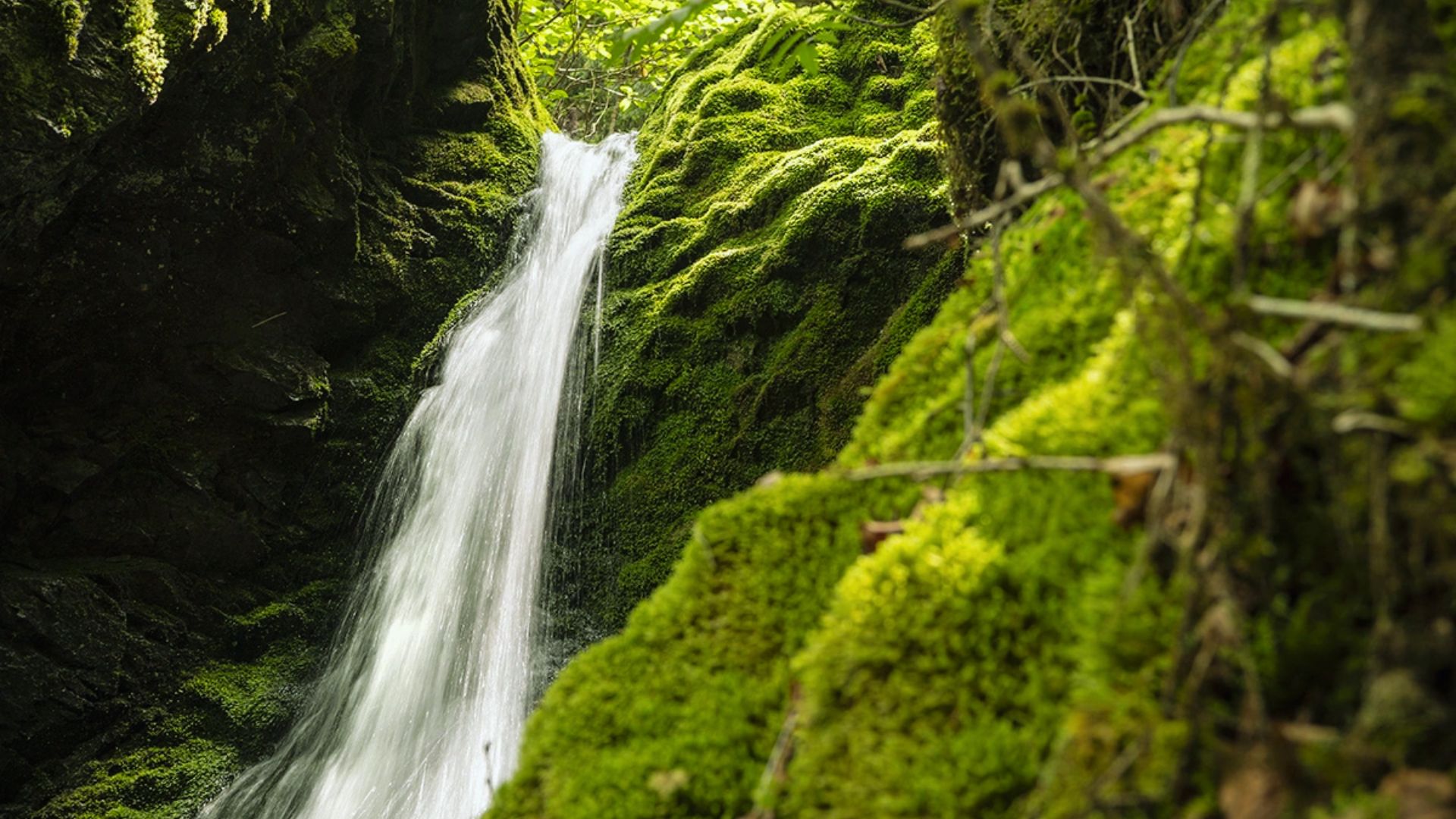 Visit Waterfalls in Fundy National Park