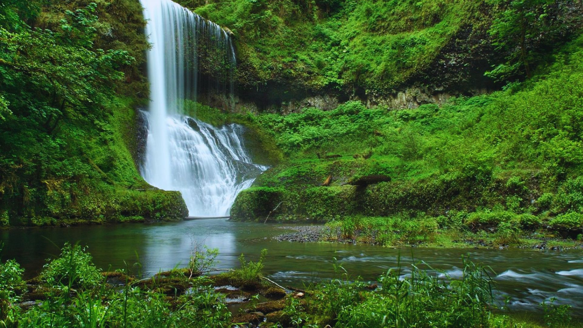 Scenic view of the Columbia River Gorge, showcasing its lush landscapes and stunning natural beauty.