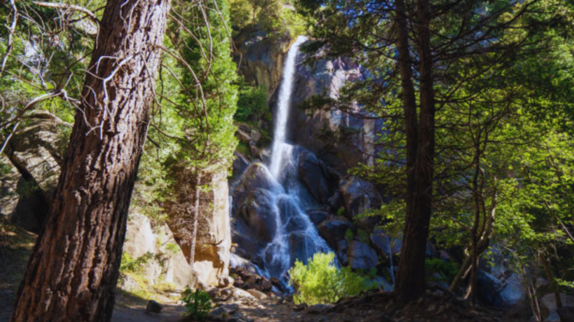 Grizzly Falls Trail