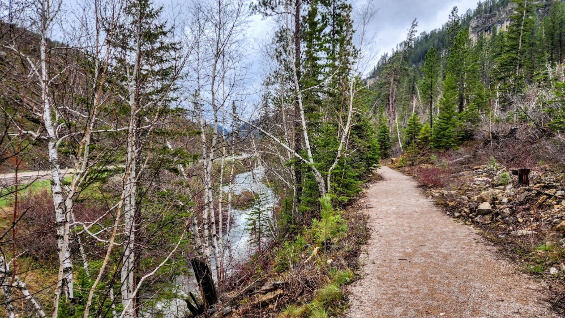 A serene gravel path winds through a forest of birch and pine trees beside a flowing river, under a cloudy sky, evoking peace and tranquility.
