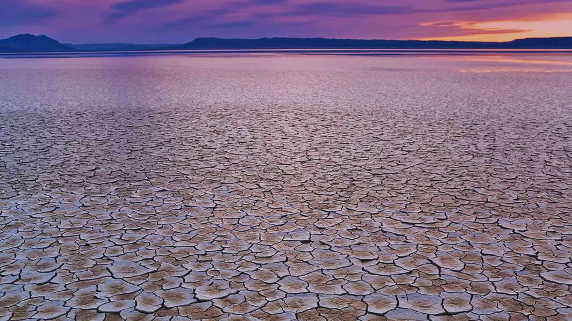 Alvord Desert
