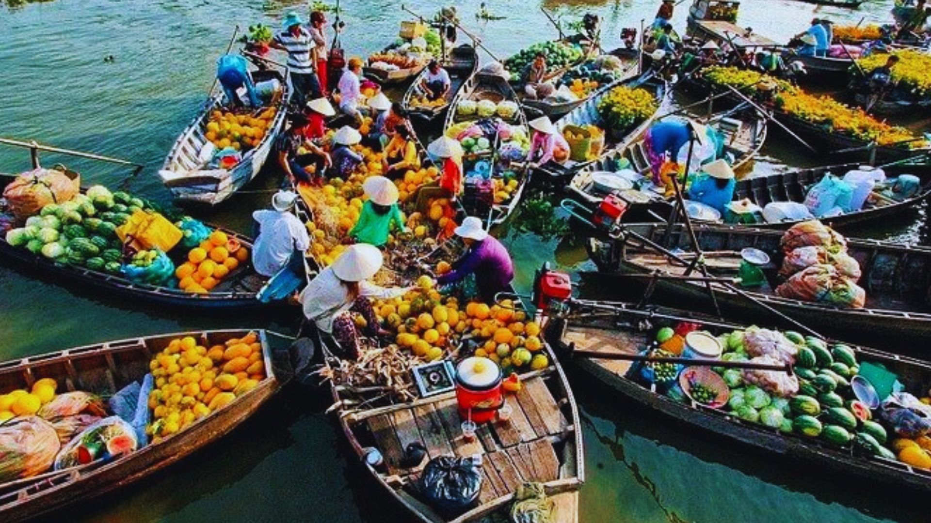 Mekong Delta Experience