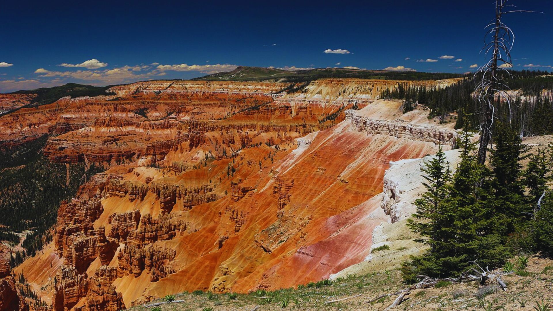 Visit Cedar Breaks National Monument