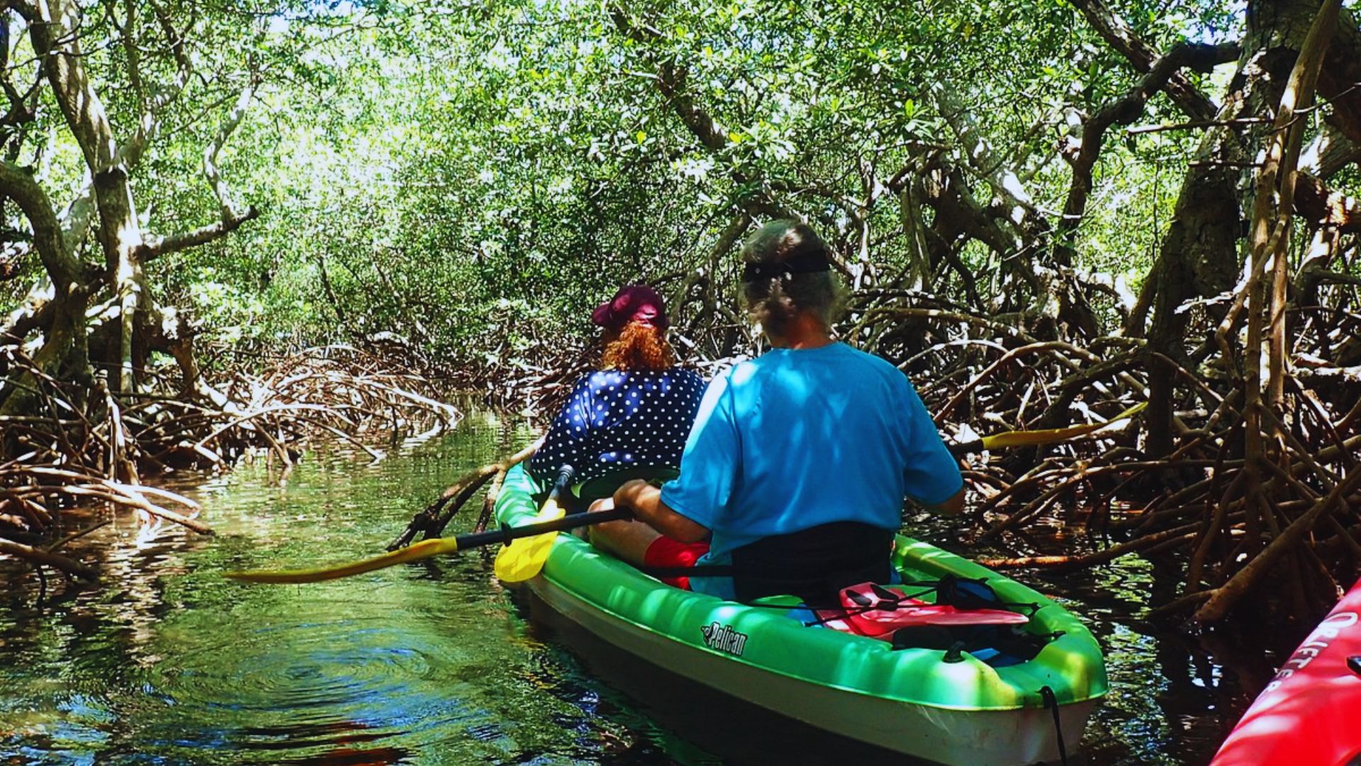 Two people kayaking through a dense mangrove forest, paddling along narrow, sunlit waterways. The scene feels adventurous and serene.