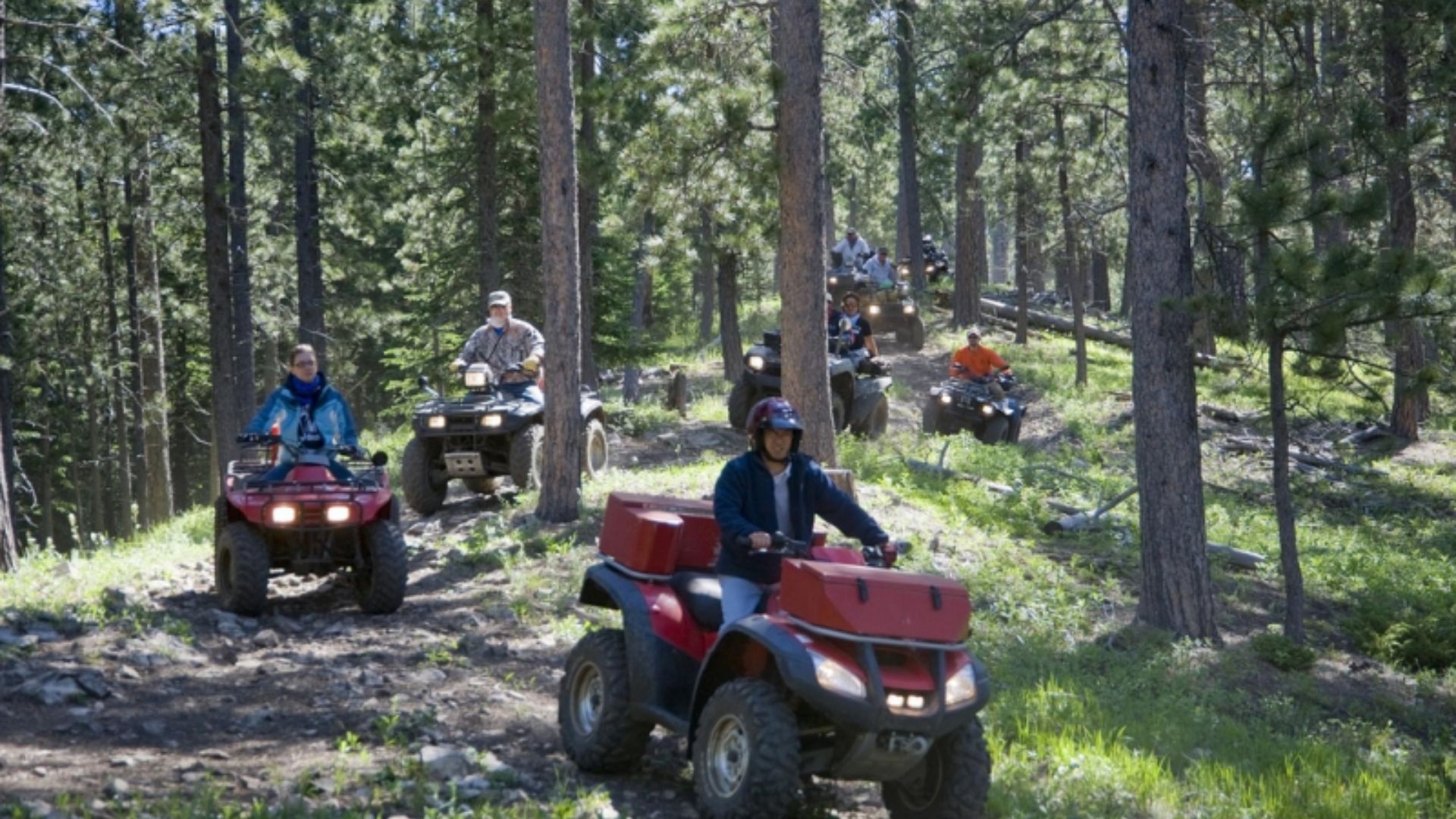 A group of people ride ATVs along a forest trail. They're surrounded by tall trees and dappled sunlight, creating a sense of adventure and excitement.