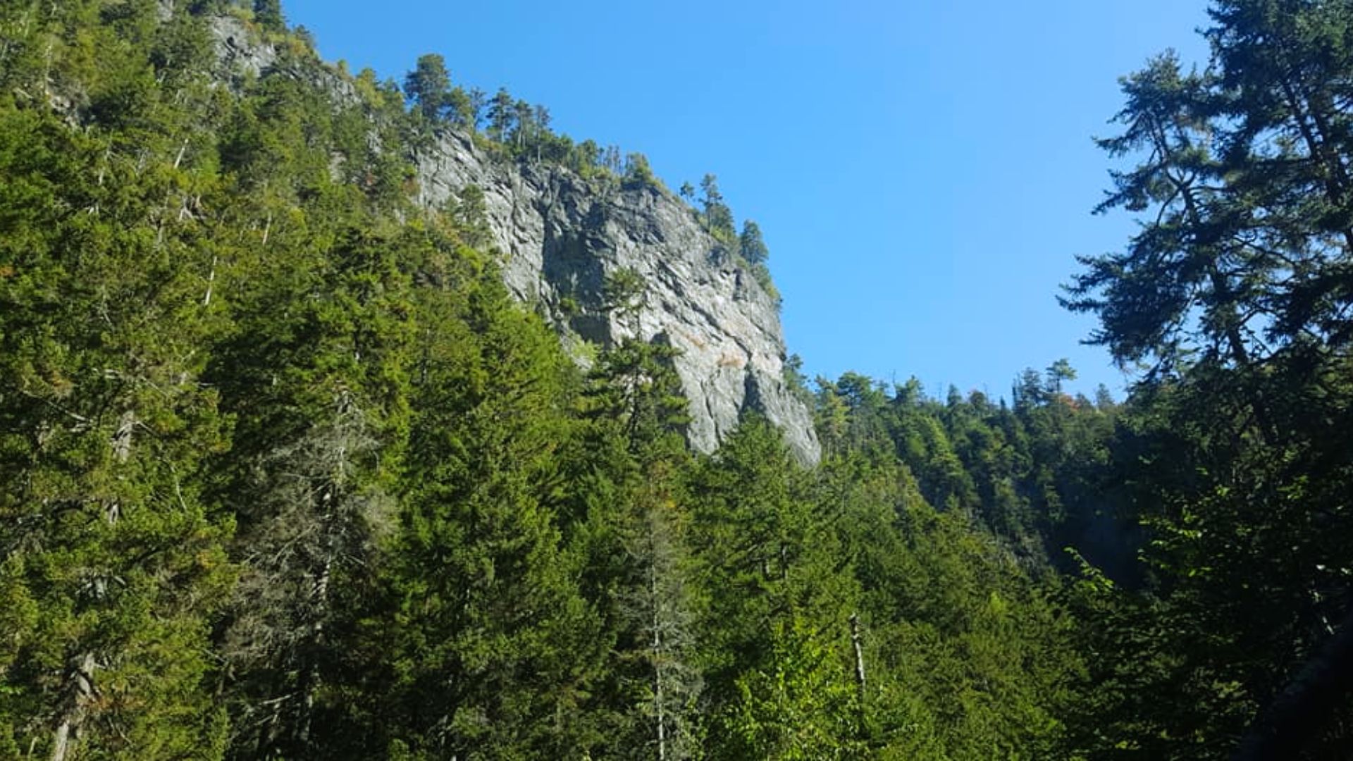 Visit Walton Glen Overlook and Eye of the Needle