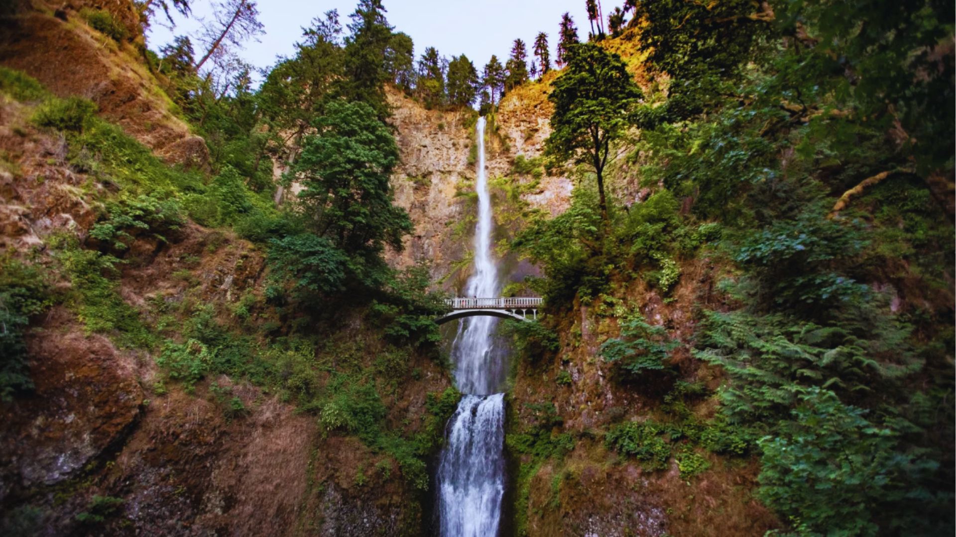 Photograph of Columbia Falls by James Kennedy, showcasing the majestic waterfall surrounded by lush greenery.