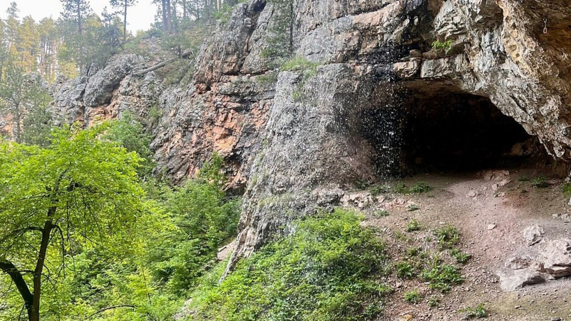 A rugged cave entrance set in a rocky cliffside is surrounded by lush green vegetation and tall trees, creating a serene, natural atmosphere.