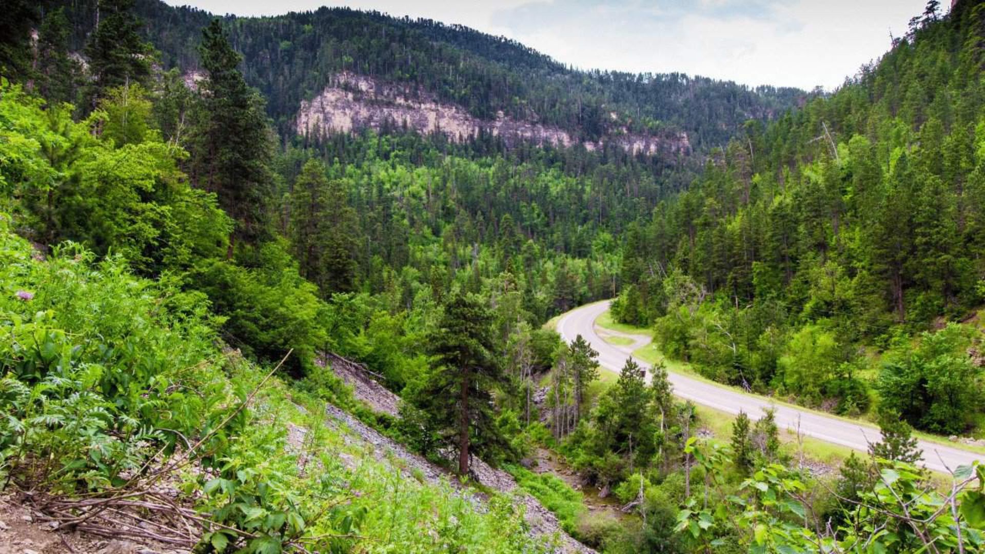 A winding road curves through lush, green forested hills under an overcast sky, evoking a serene and tranquil atmosphere in a mountainous landscape.
