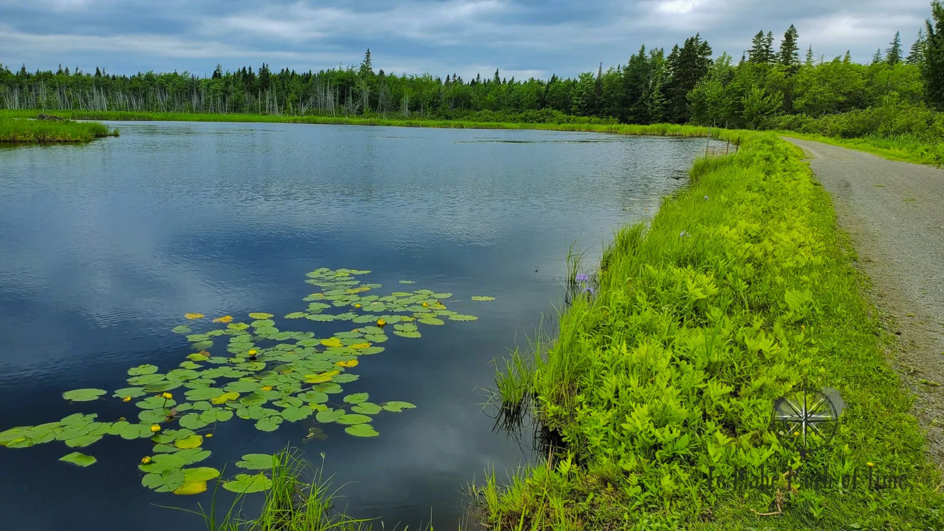 Walk the Bog Trail in Kouchibouguac National Park