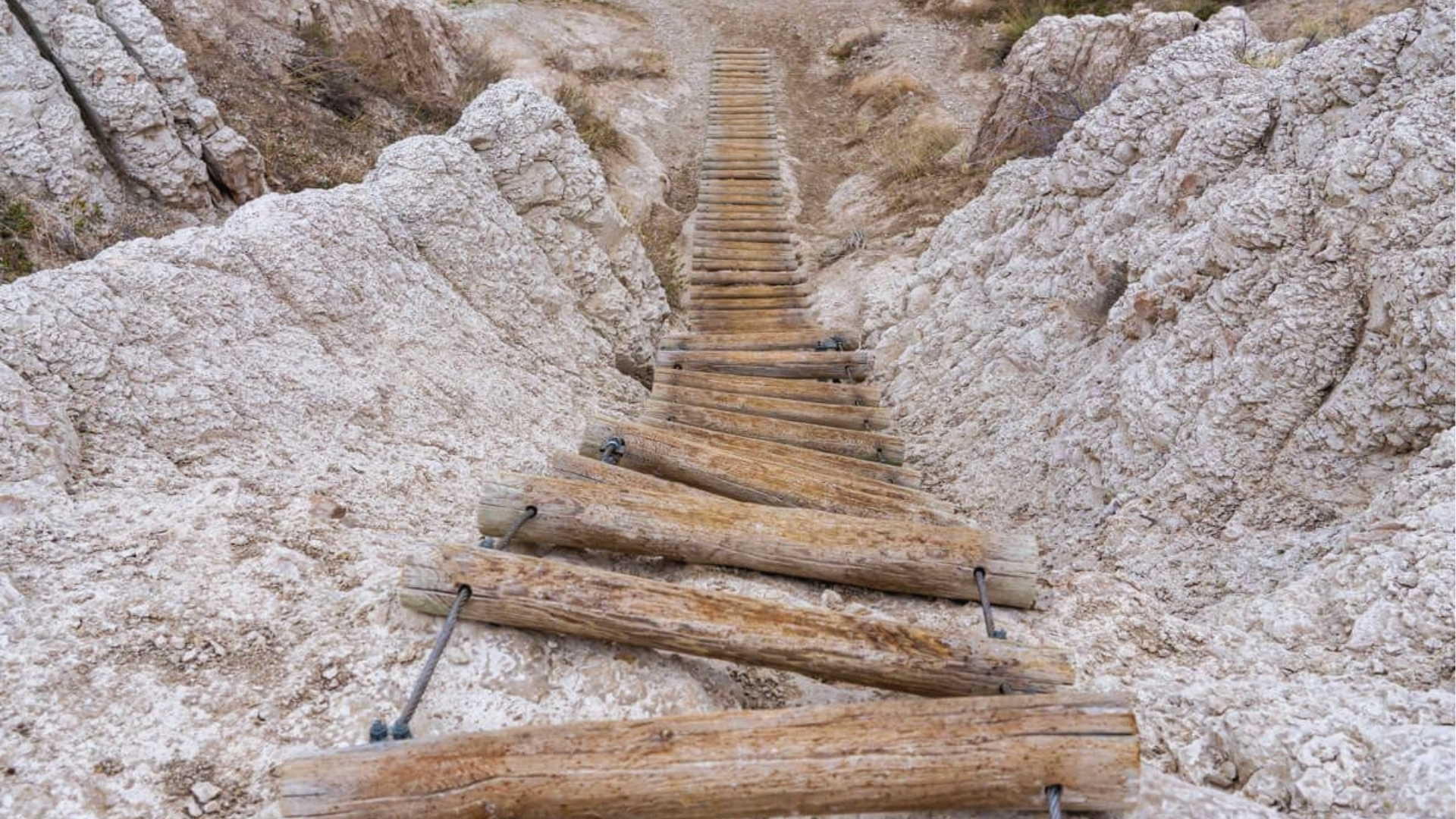 A wooden ladder ascends towards a cliff, surrounded by rocky terrain and greenery.