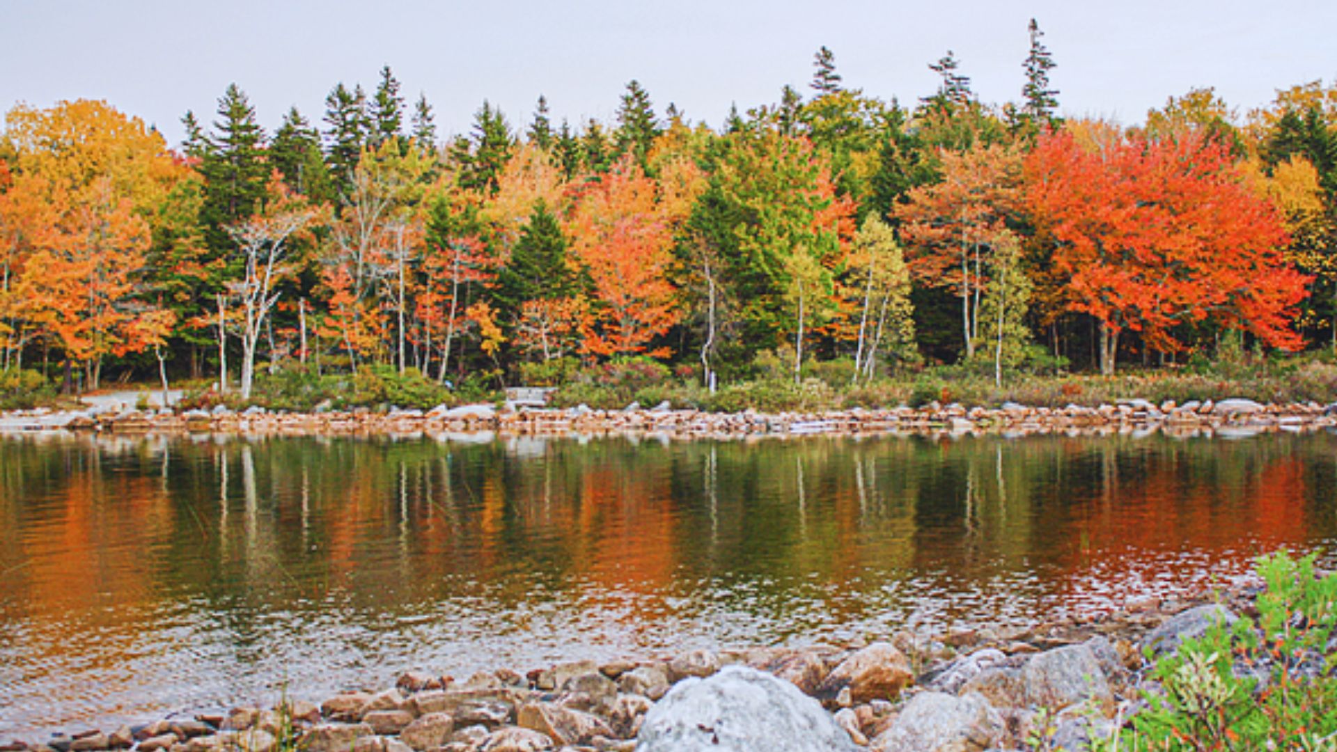 Acadia National Park