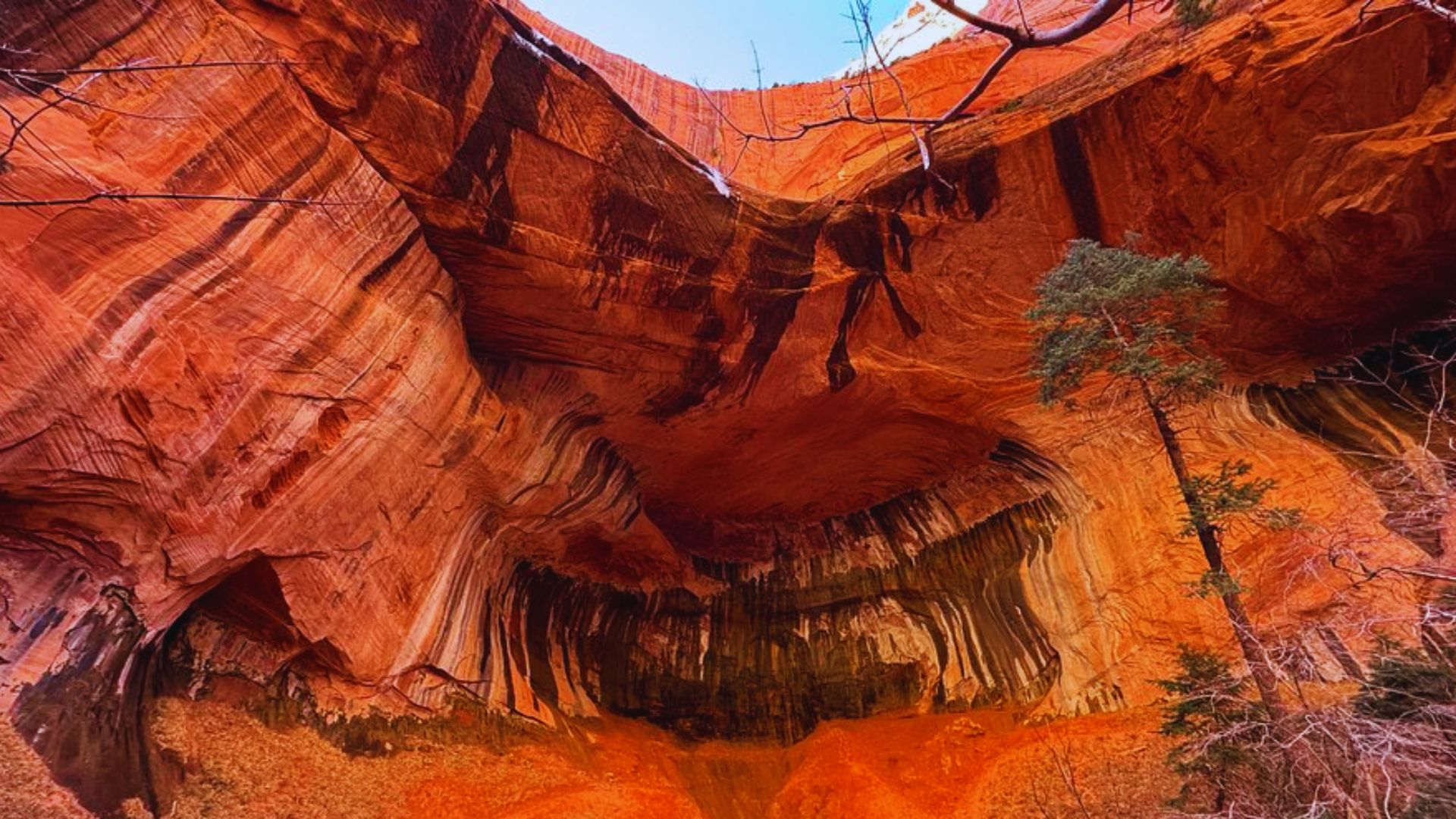 Explore the Kolob Canyons Section of Zion